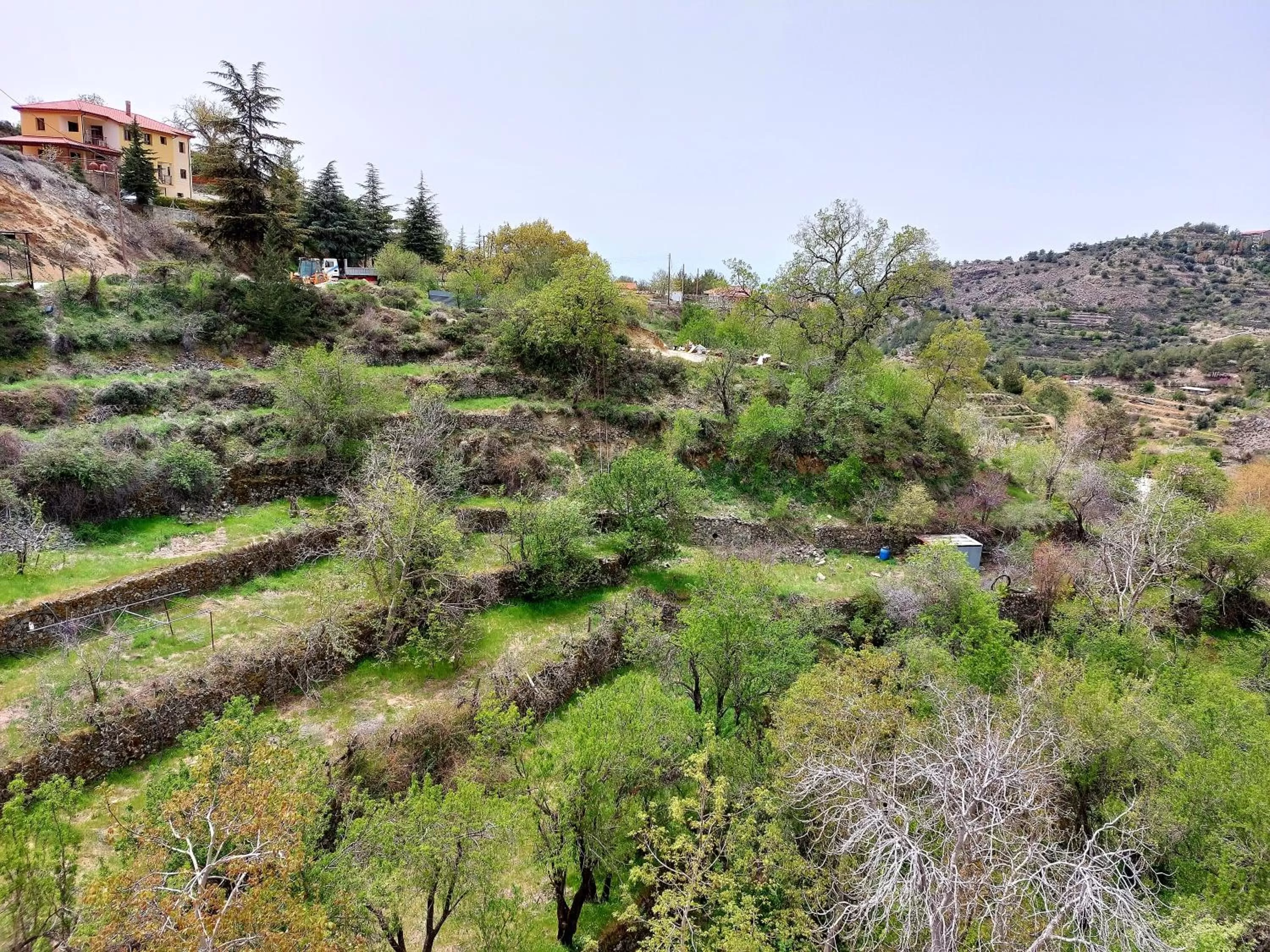 Natural landscape in Agros Green Valley Suites