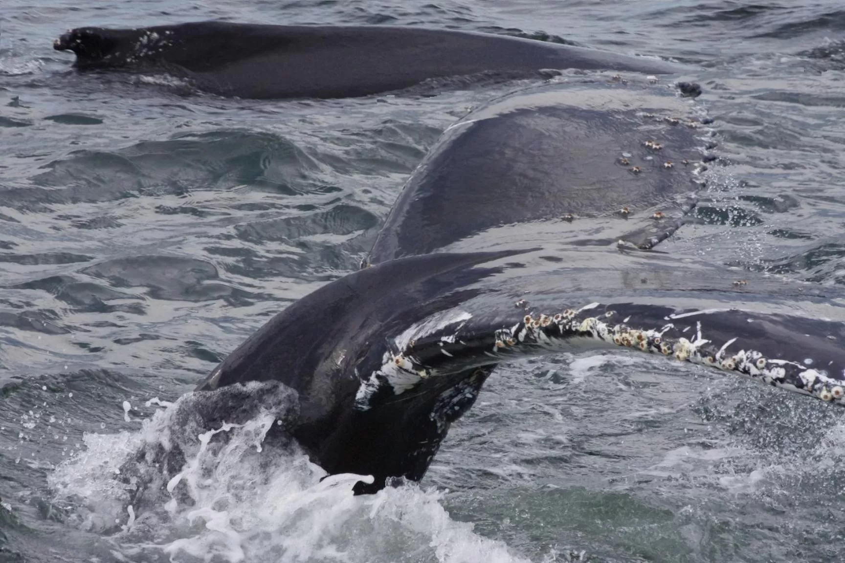Activities, Winter in Auberge La Tanière