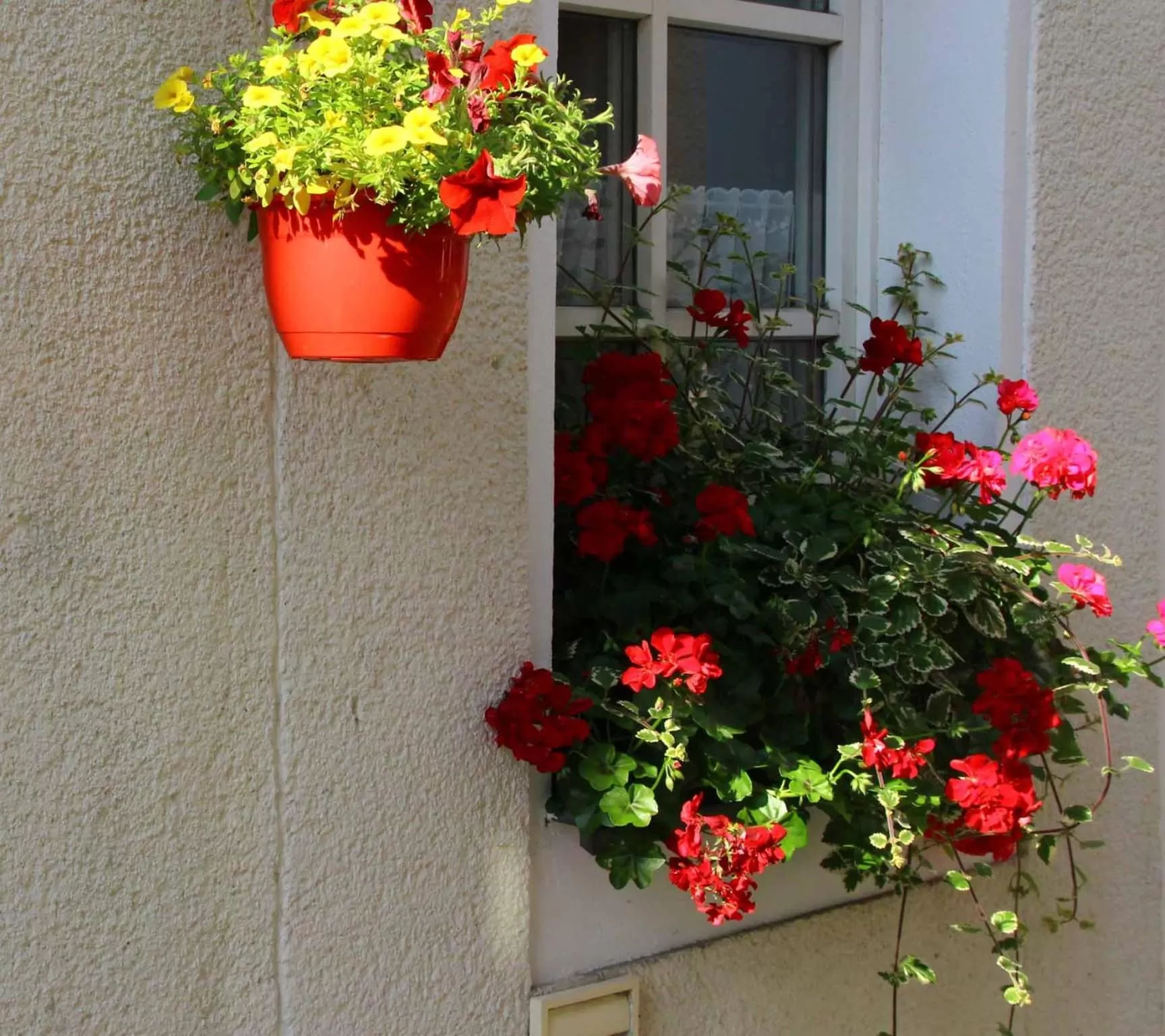 Garden in Hotel Gasthof Zum weissen Lamm