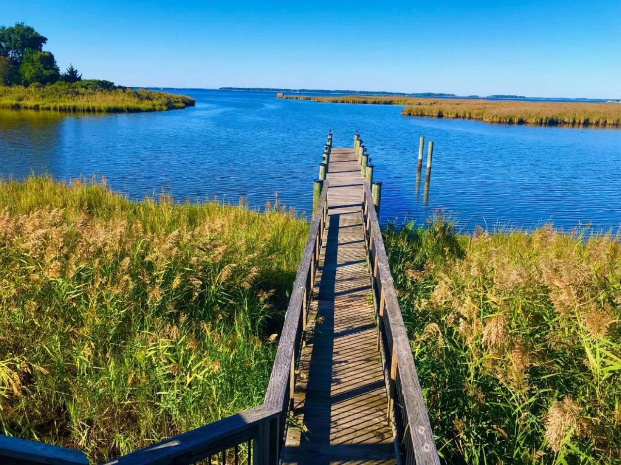 Natural landscape in Holiday Inn Express Annapolis East-Kent Island by IHG