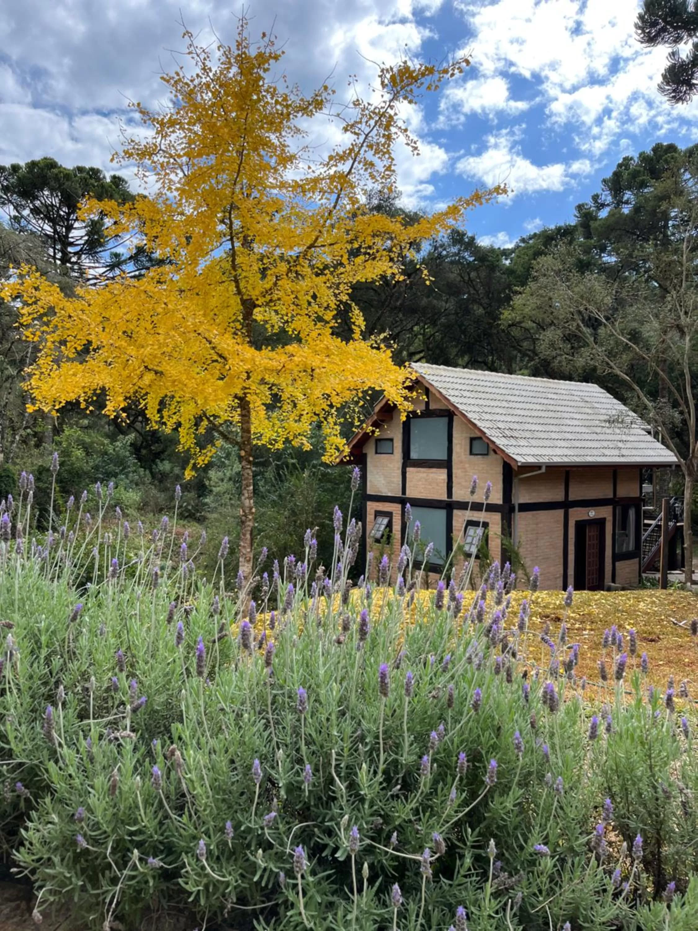 Garden in Pousada Dona Bendita