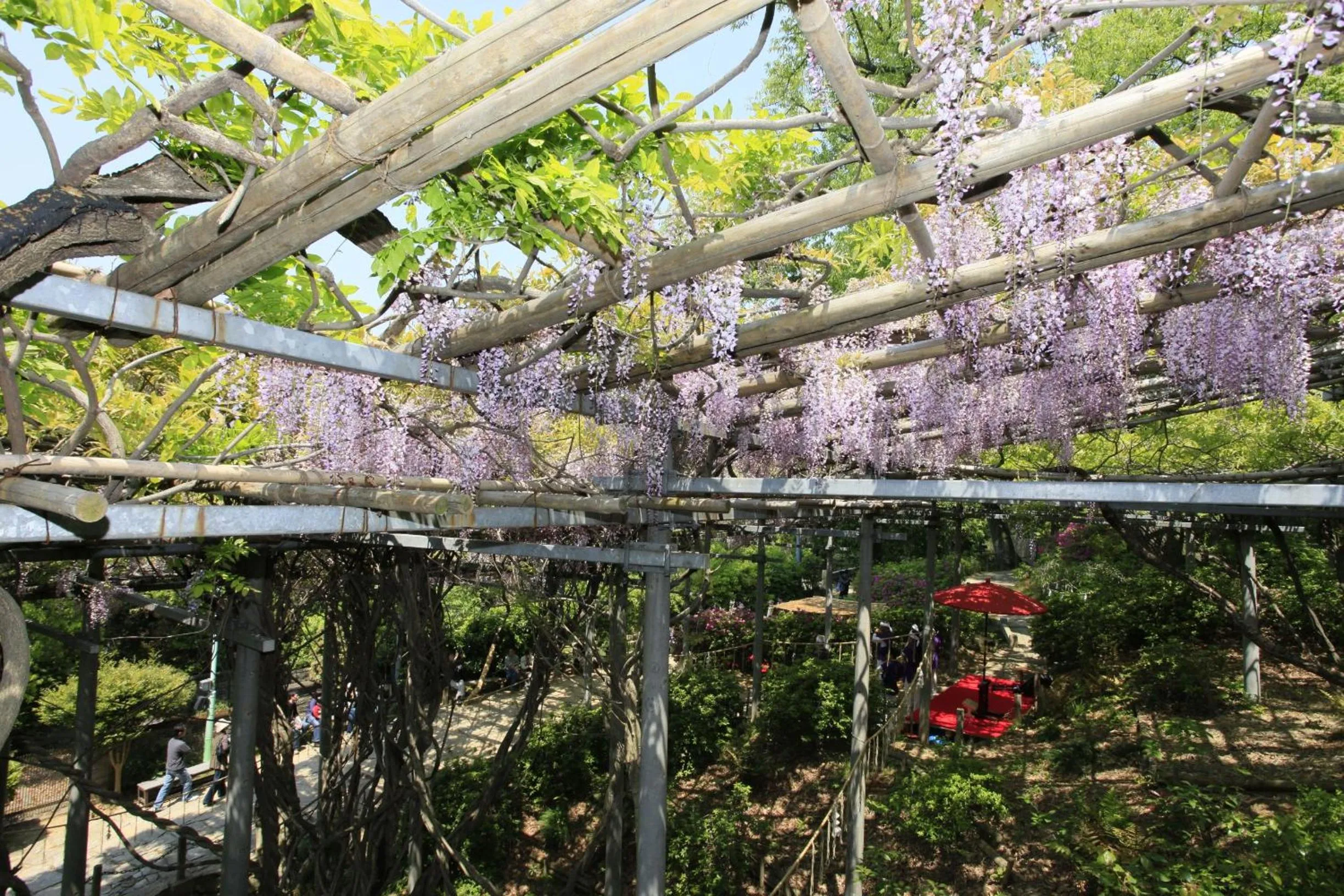 Spring in Ryori Ryokan Tsurugata