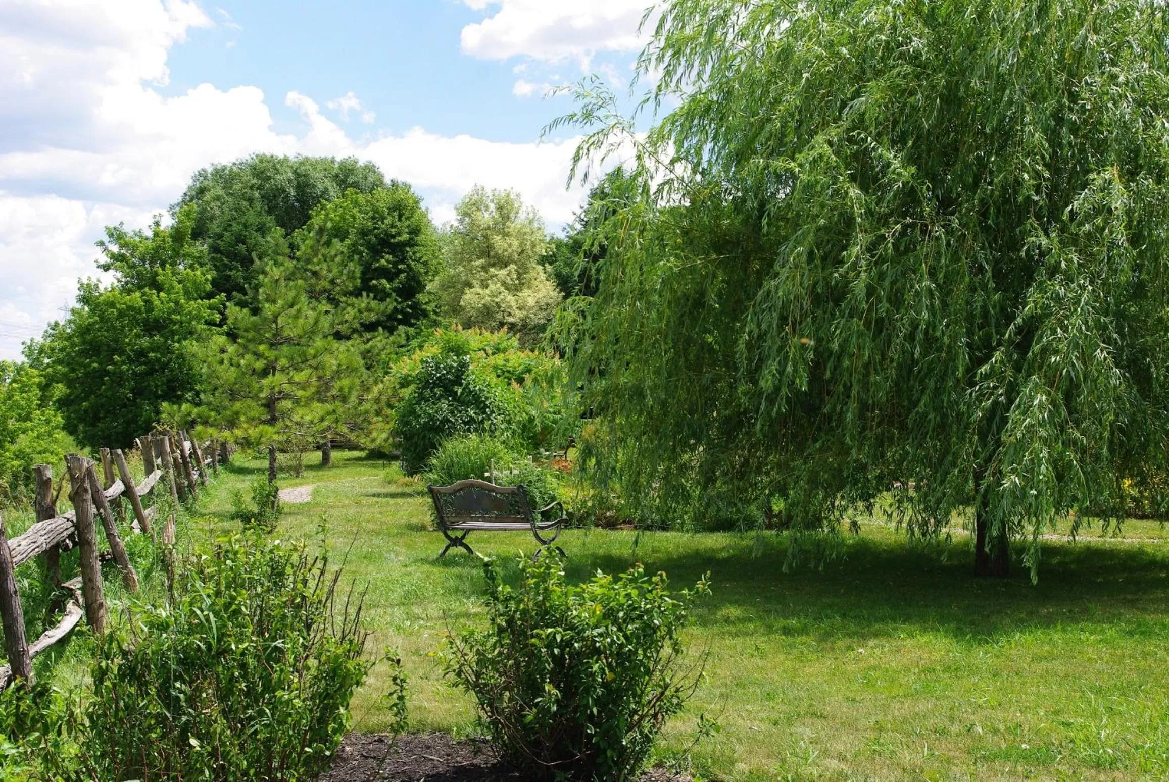 Garden in Atelier Galerie Anne Drouin Peinture & Pension