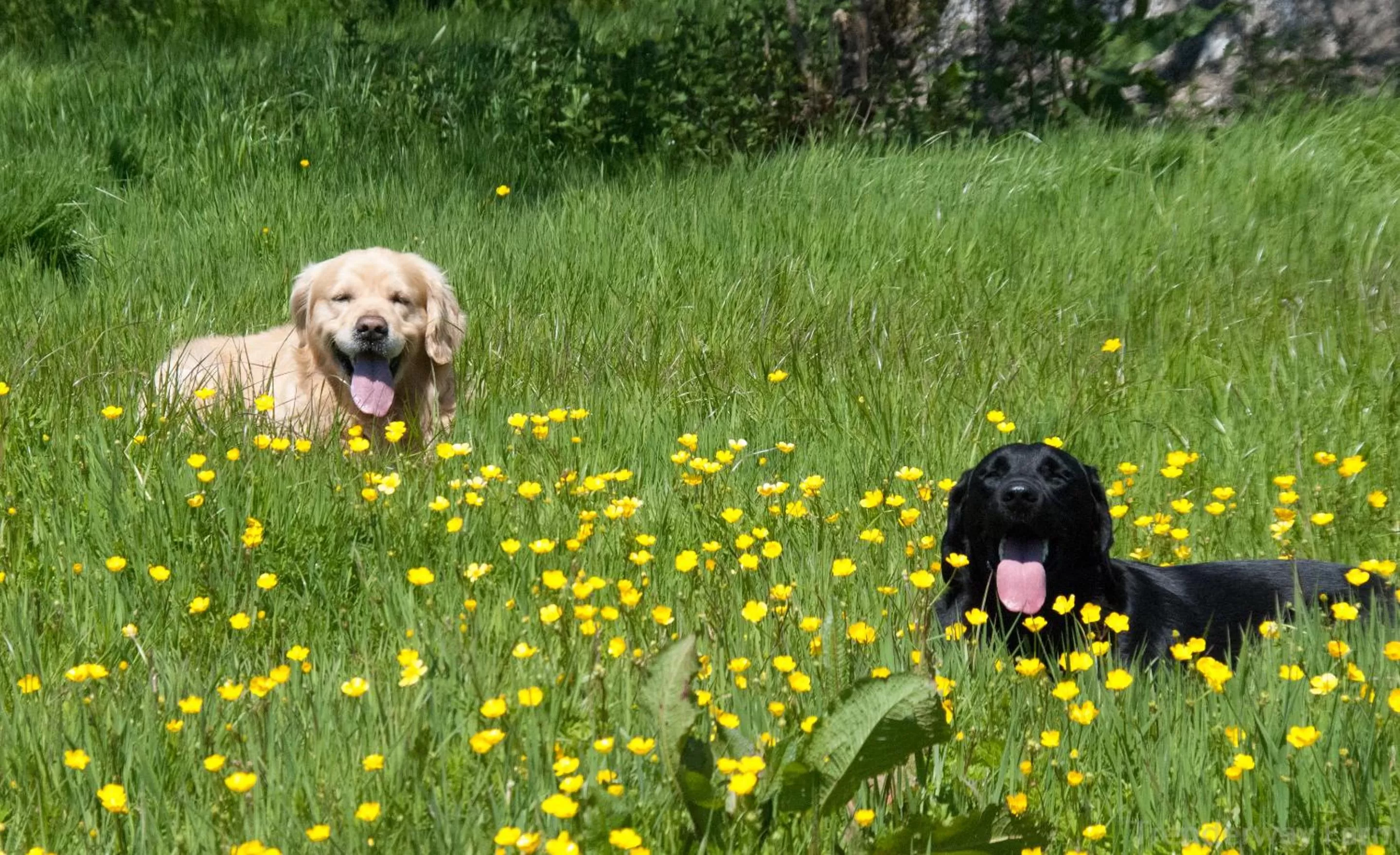 On site in Trenderway Farm