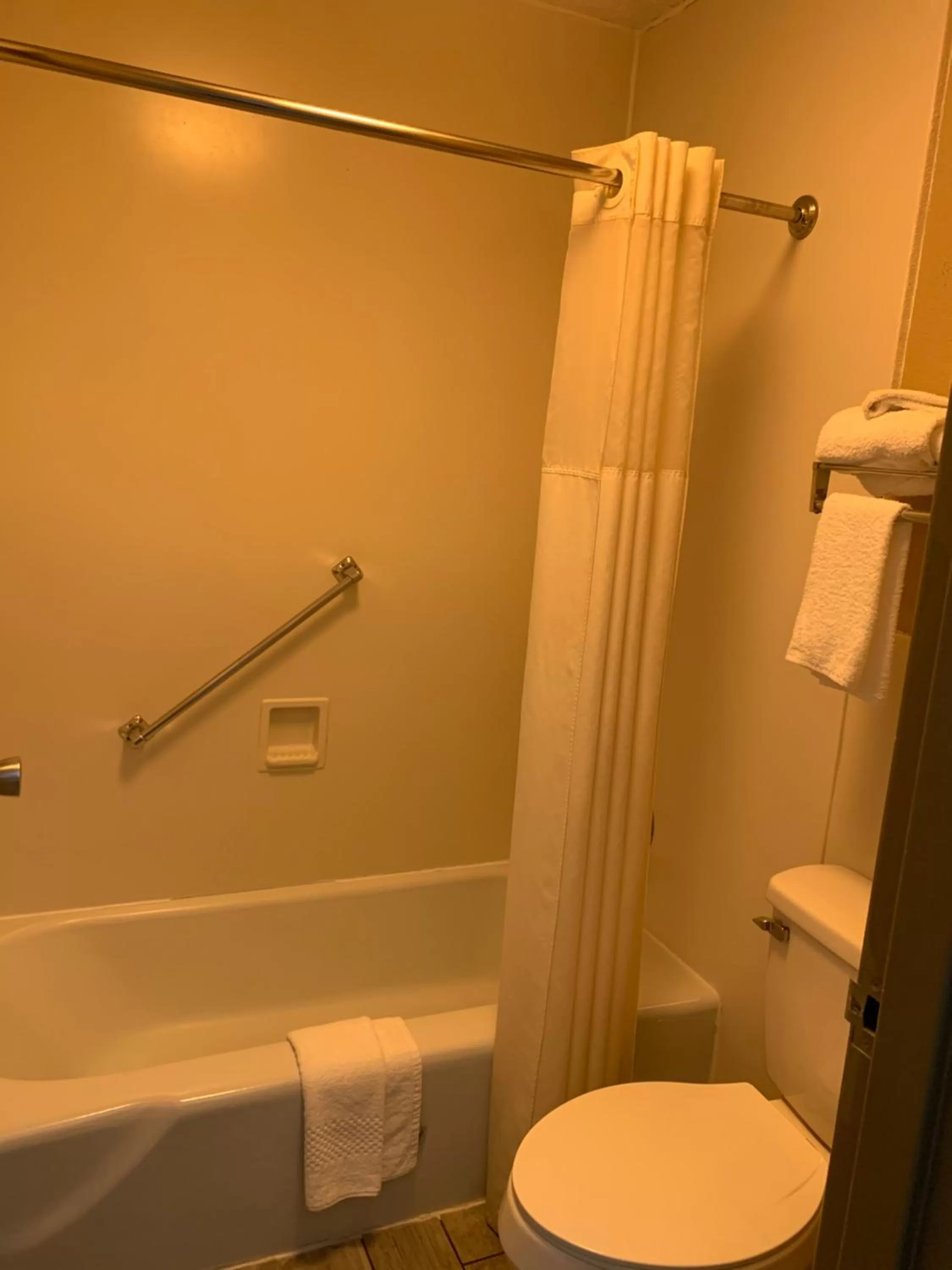 Toilet in Quality Inn & Suites Brooksville I-75-Dade City