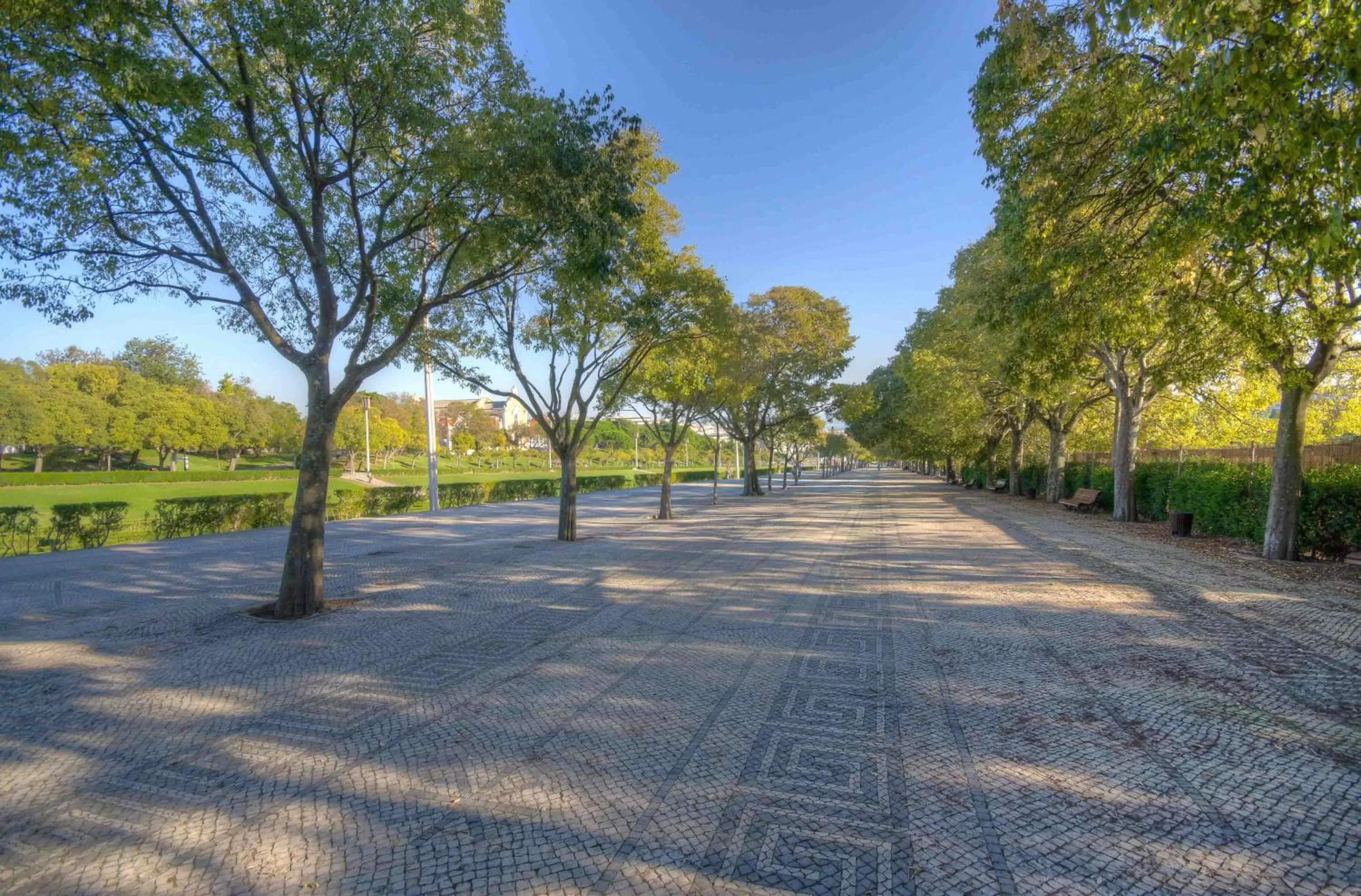Nearby landmark in Hotel Avenida Park