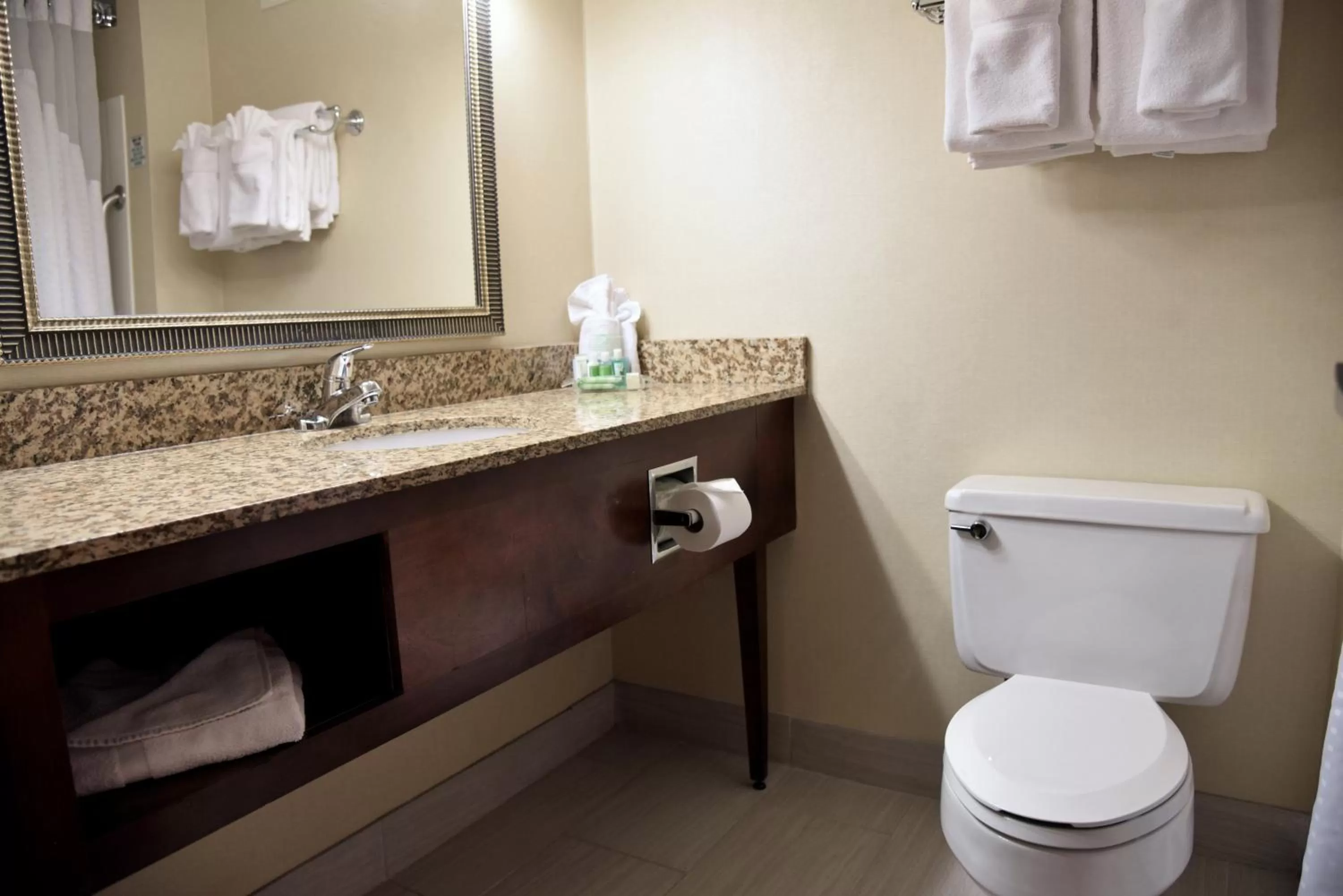 Bathroom in Holiday Inn Akron-West by IHG