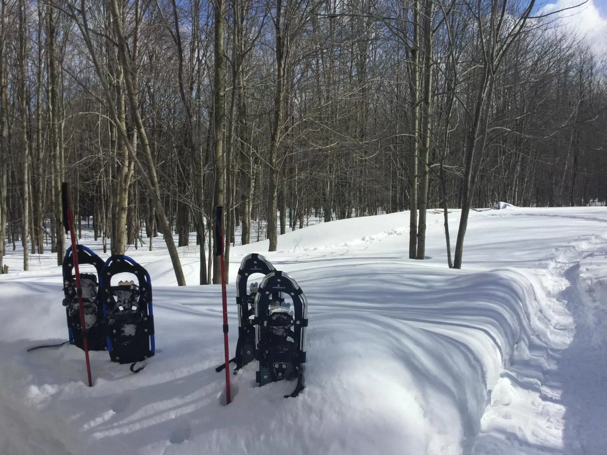 Winter in Au Gré Du Temps - Gîte B&B