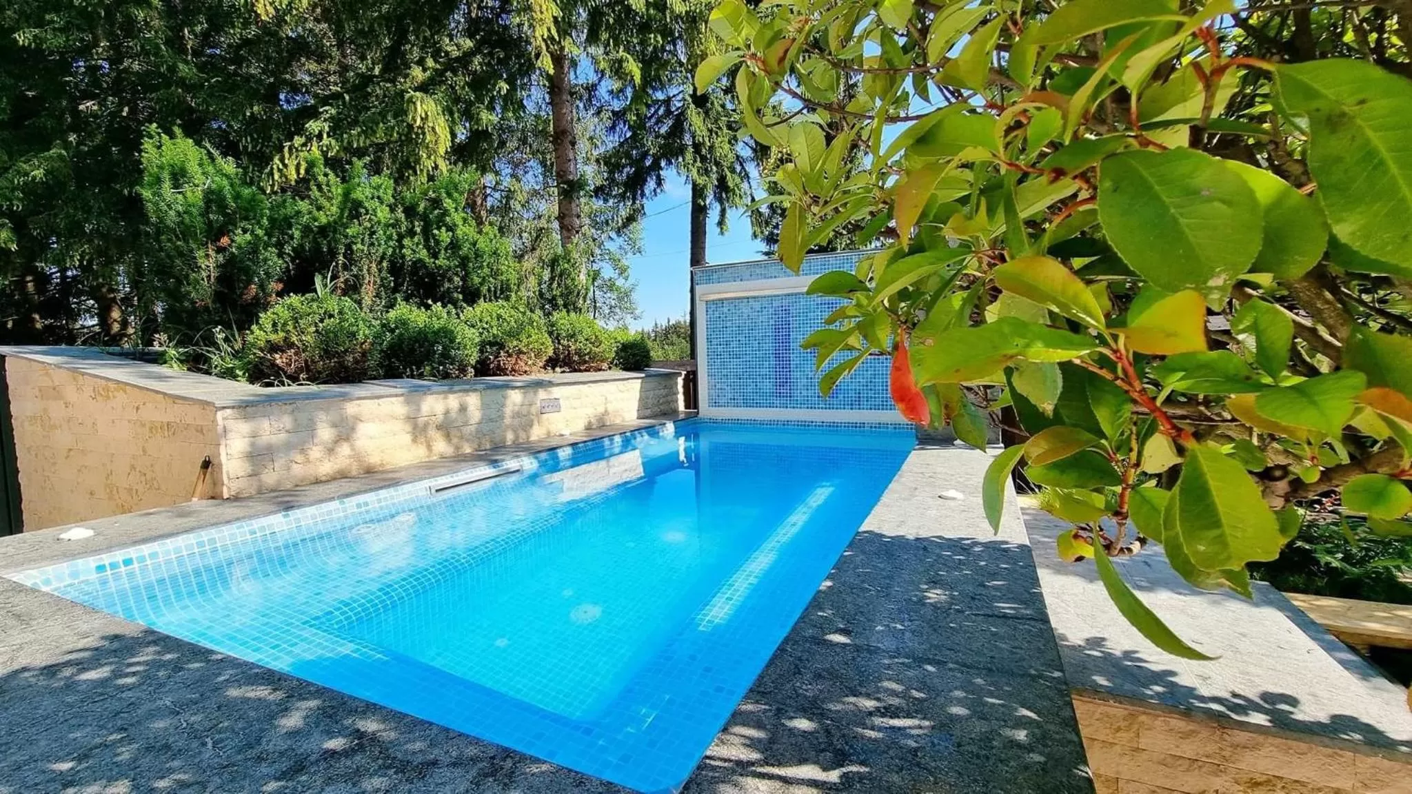 Swimming pool in Elexus Predeal