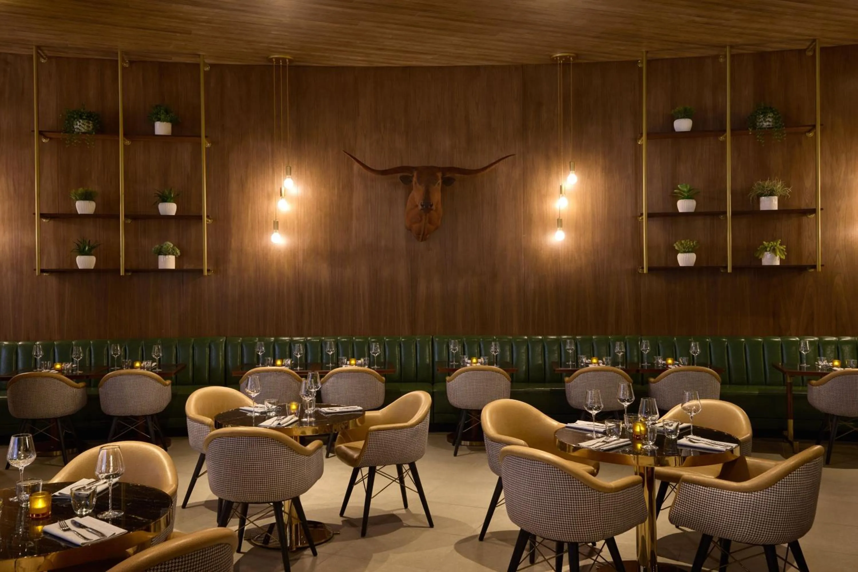 Restaurant/places to eat in The Leo Kent Hotel, Tucson, a Tribute Portfolio Hotel