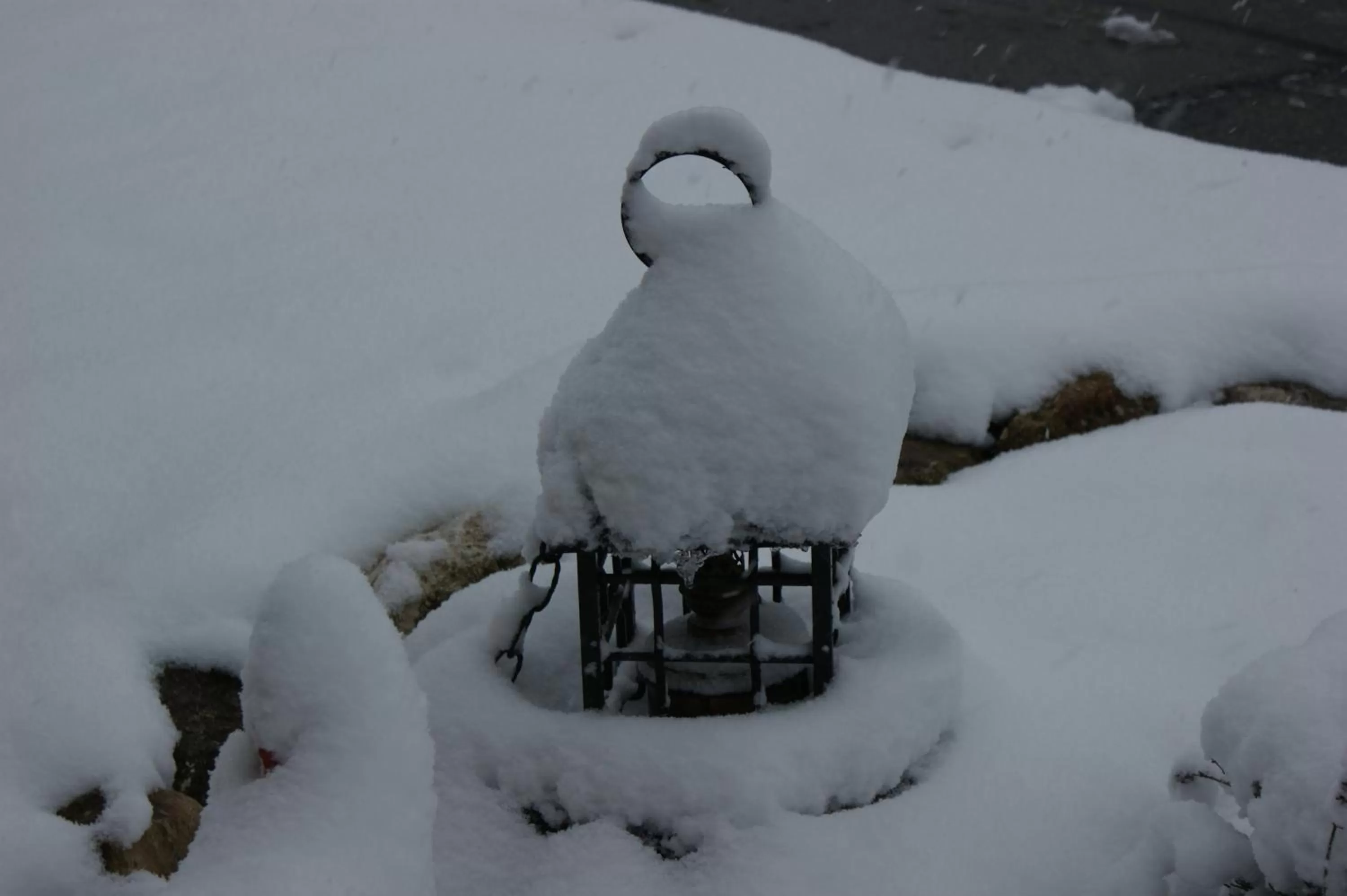 Winter in Ferienwohnung und B&B Chasa Janett