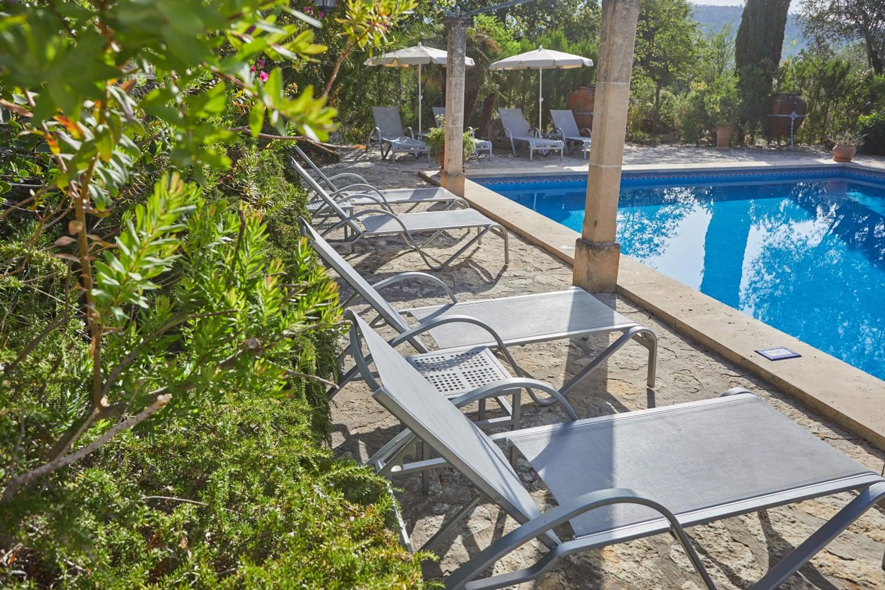 Swimming pool in Agroturismo Alquería Blanca