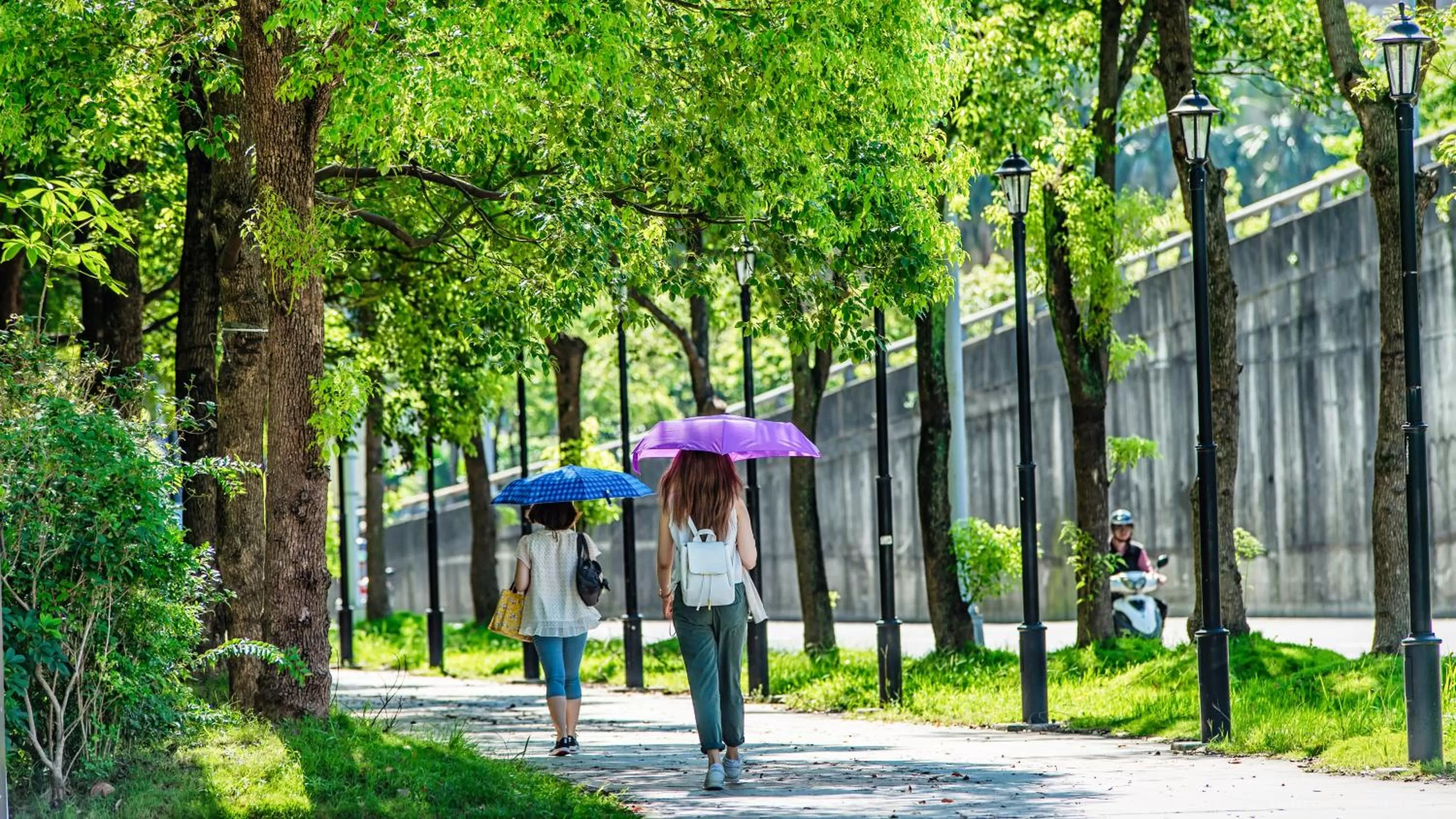 Decorative detail in Place‧X Hotel