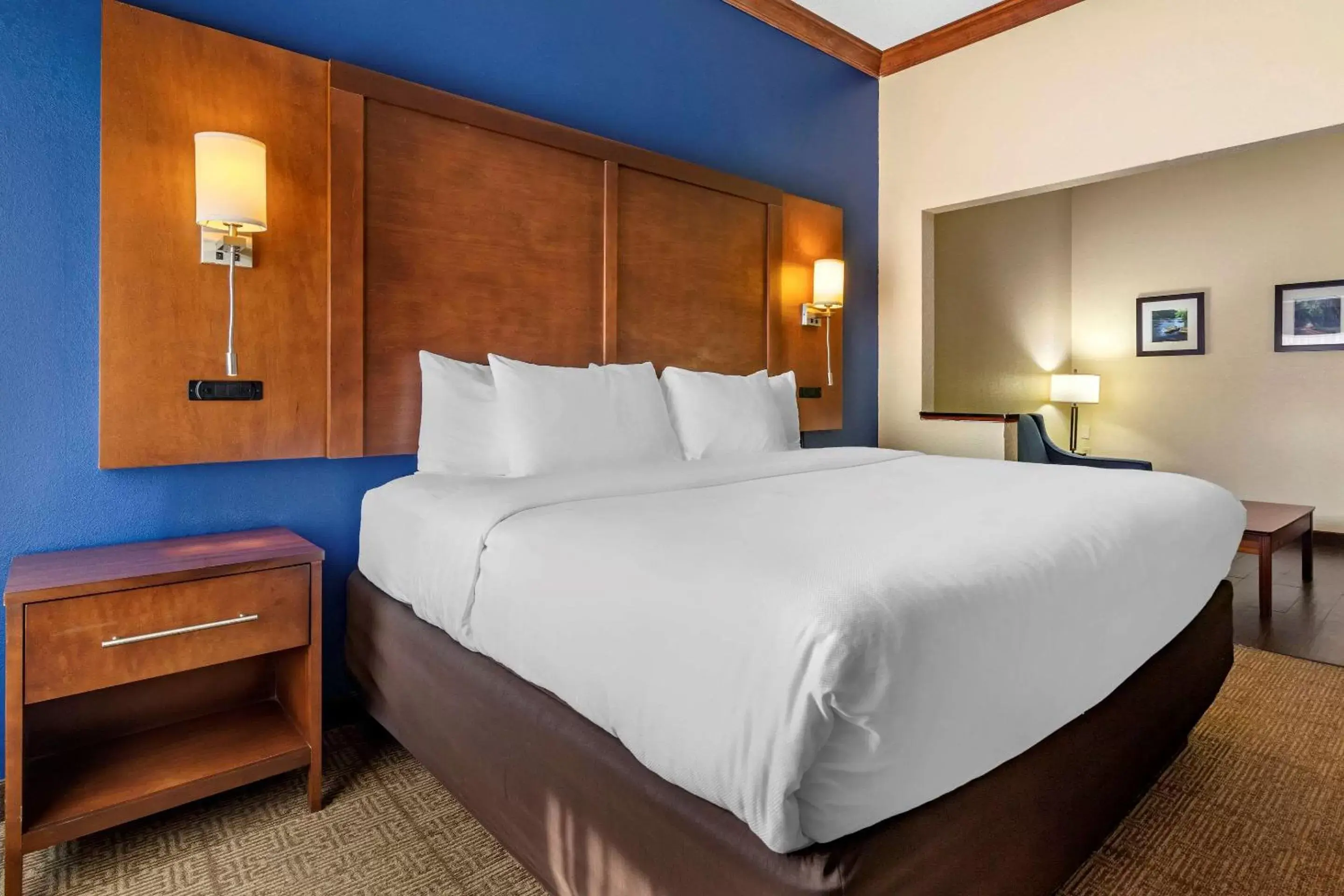 King Suite - Non-Smoking in Comfort Inn & Suites Statesboro - University Area King Suite - Non-Smoking in Comfort Inn & Suites Statesboro - University Area