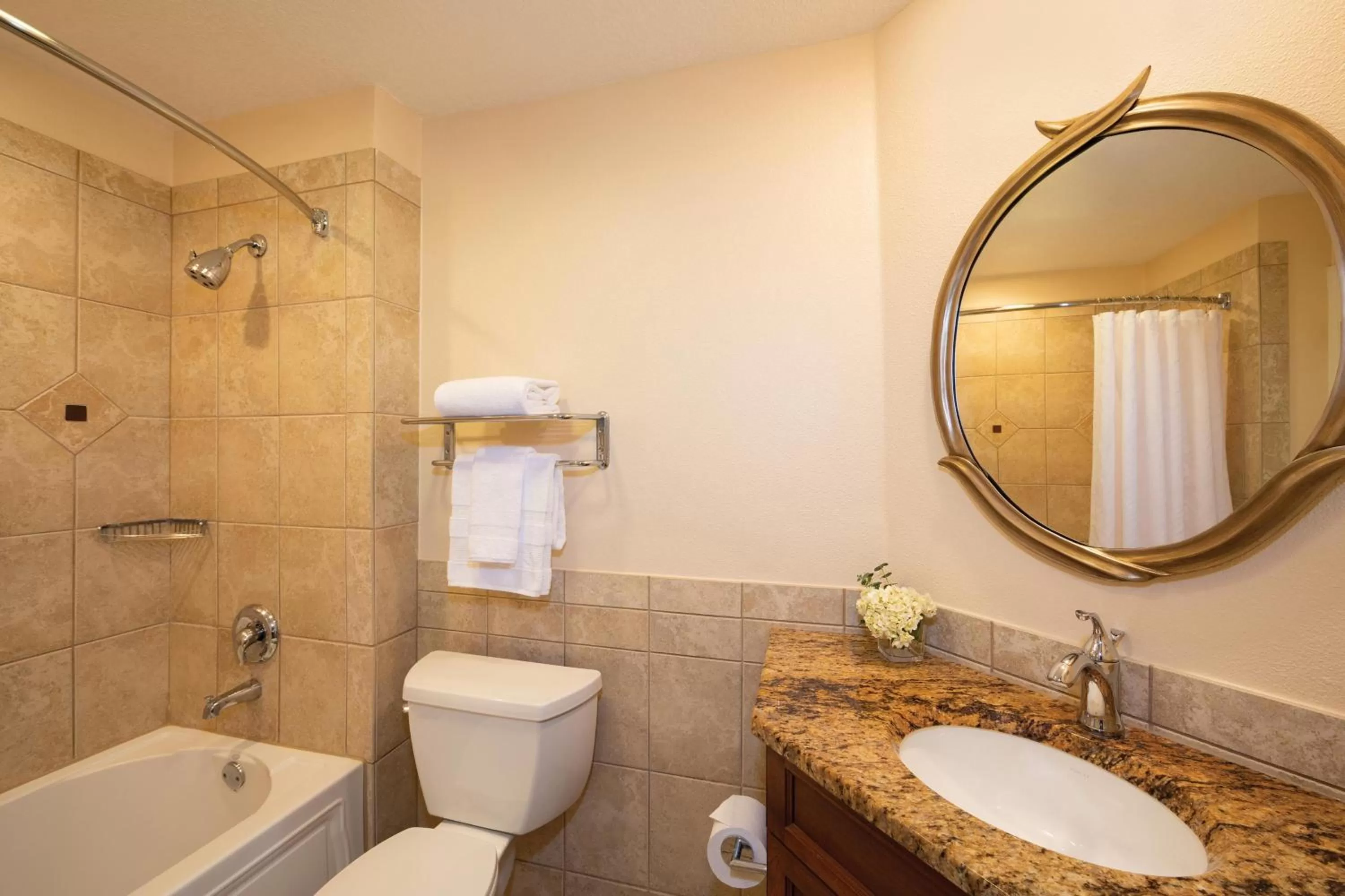 Bathroom in Sheraton Vistana Resort Villas, Lake Buena Vista Orlando