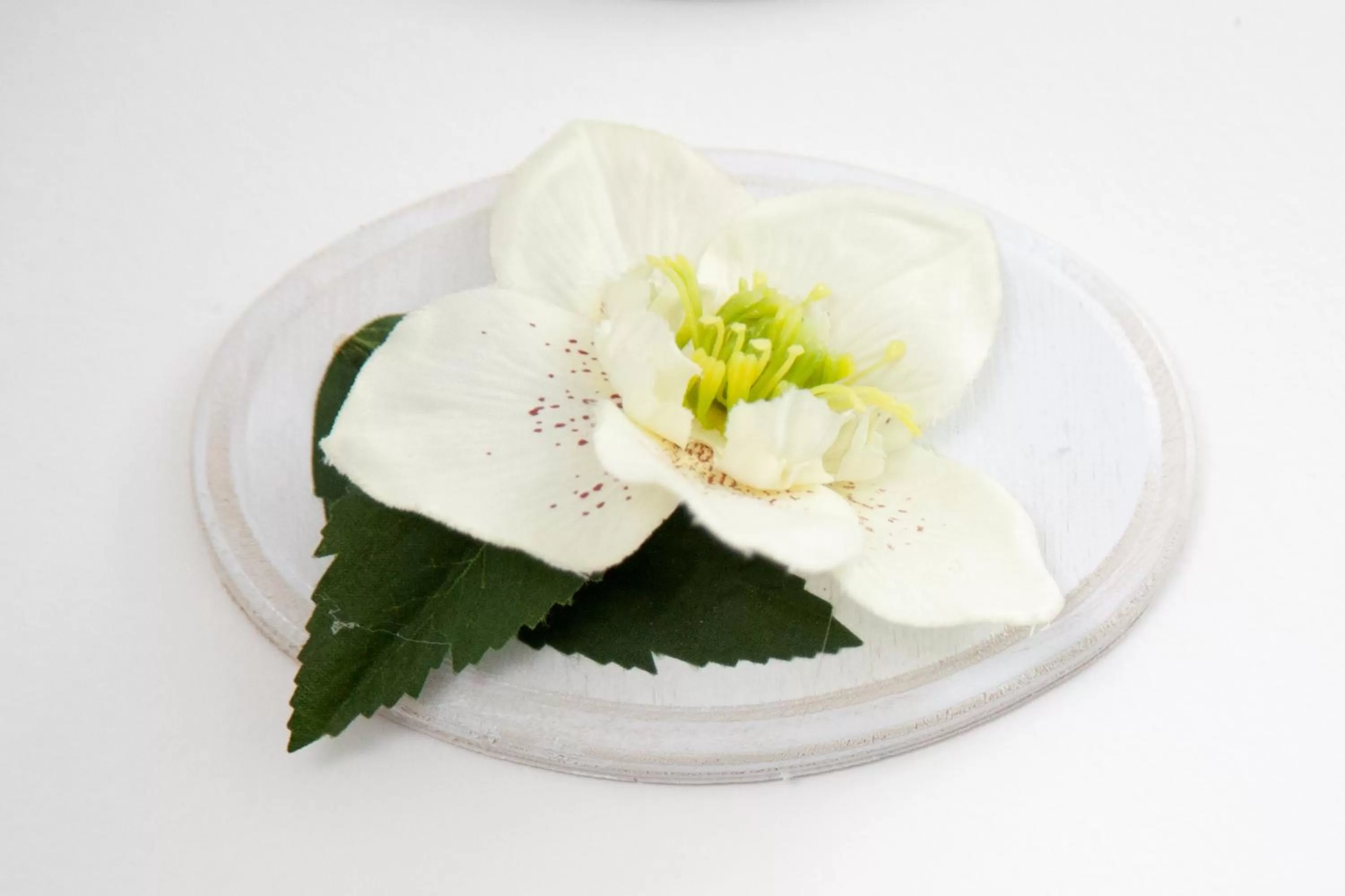 Property building, Food in B&B Rosaly