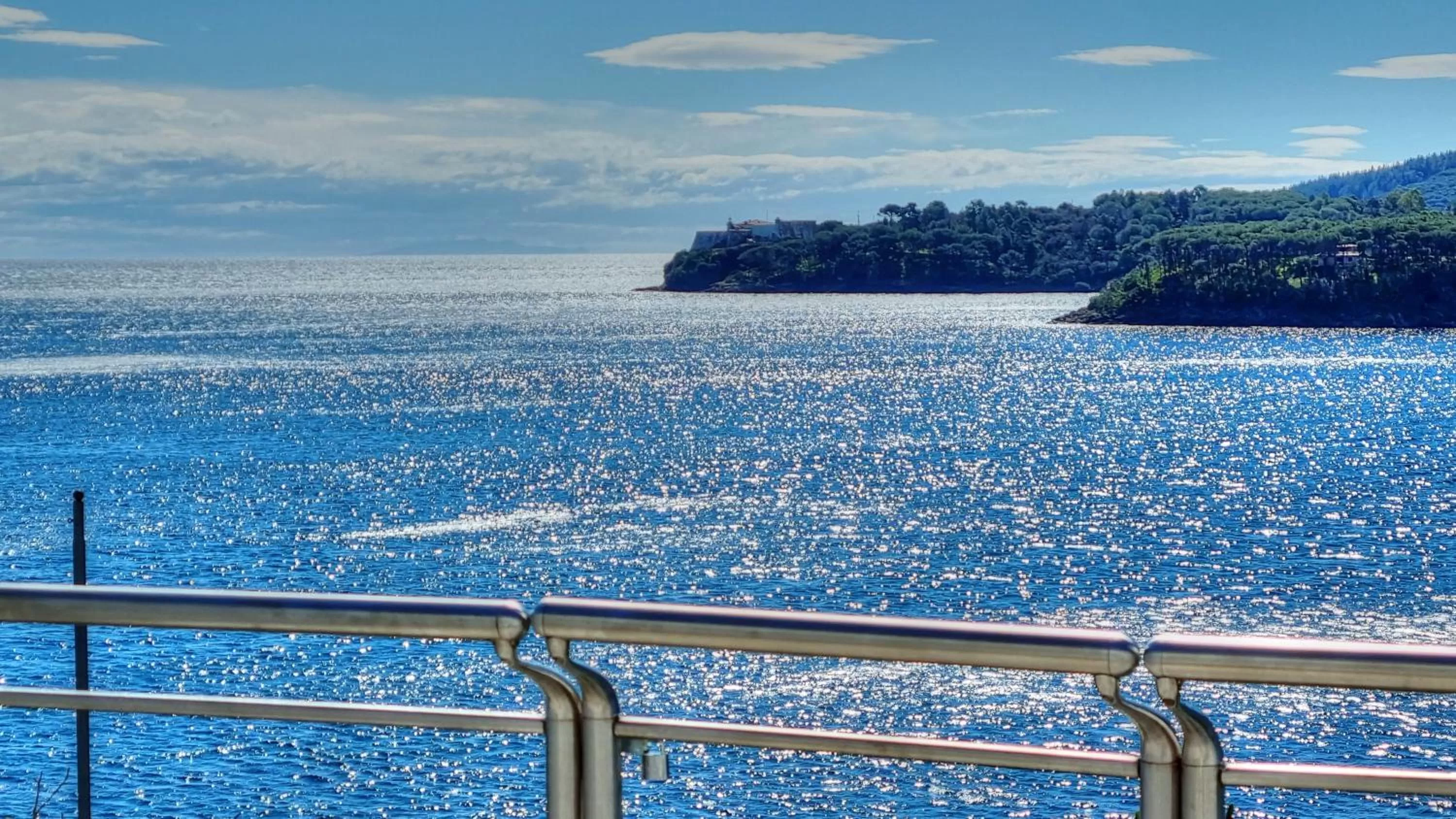Balcony/Terrace in Hotel Plaza