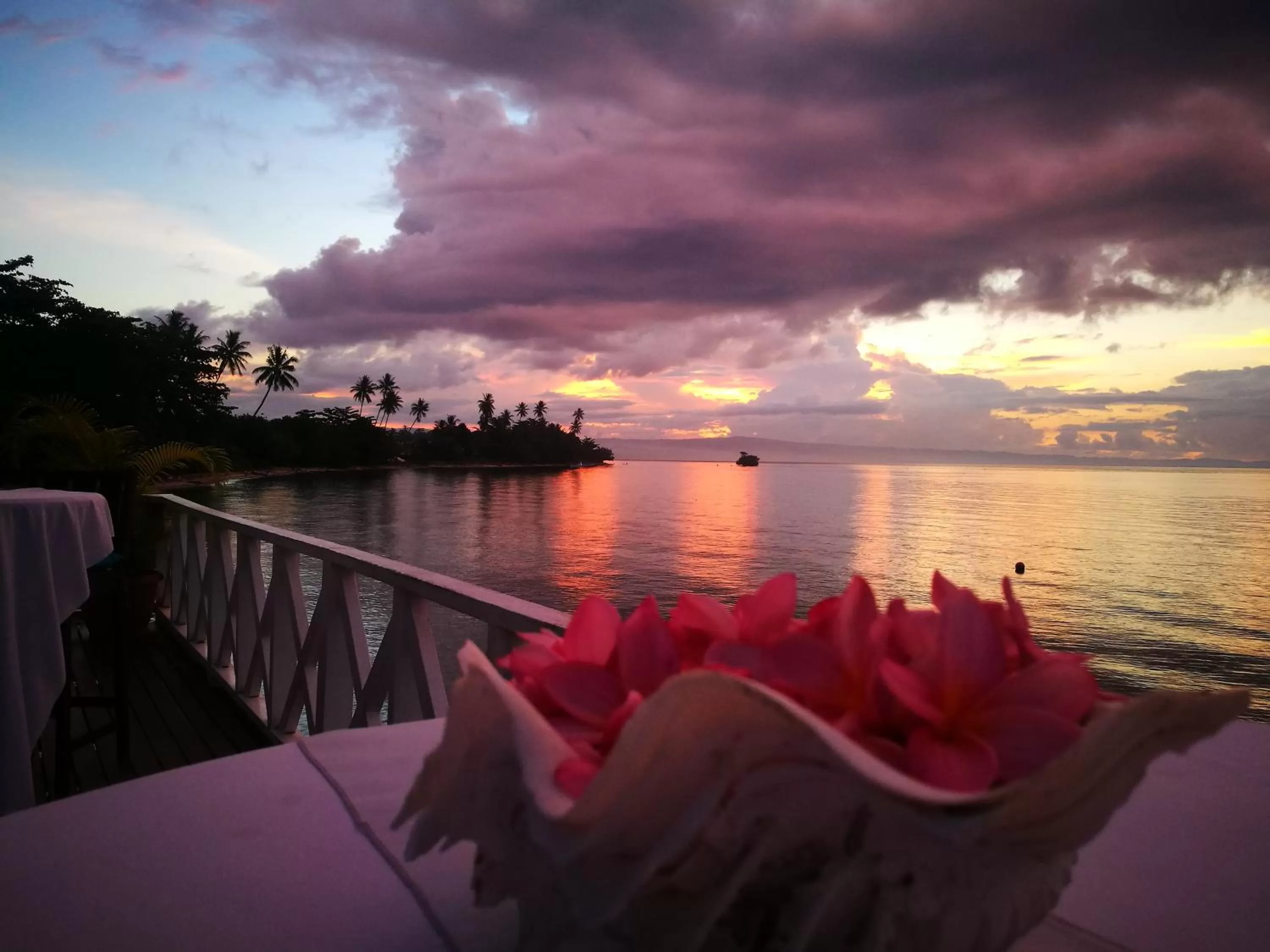 Natural landscape in Rapopo Plantation Resort