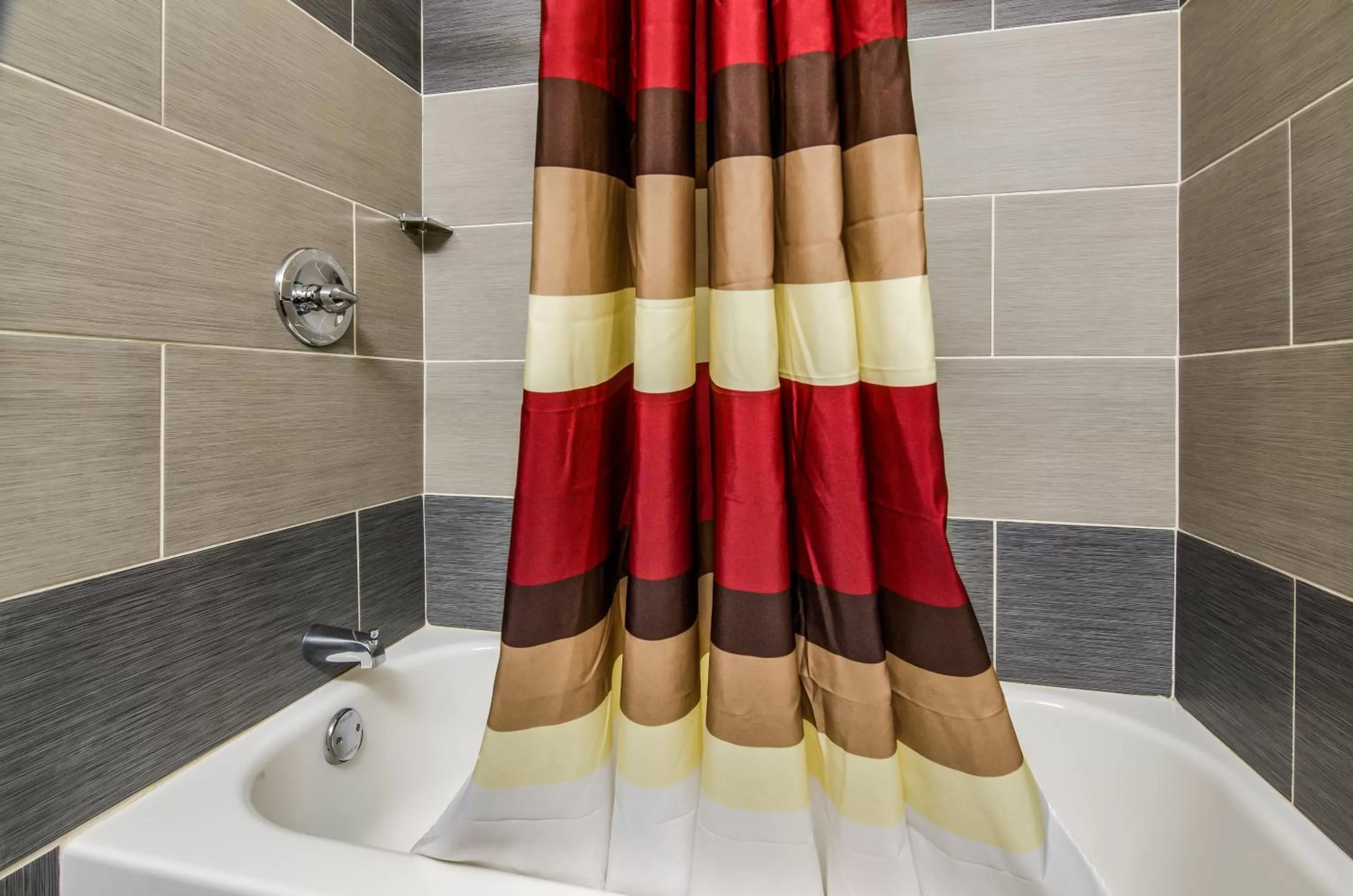 Bathroom in Red Roof Inn Madison Heights, VA