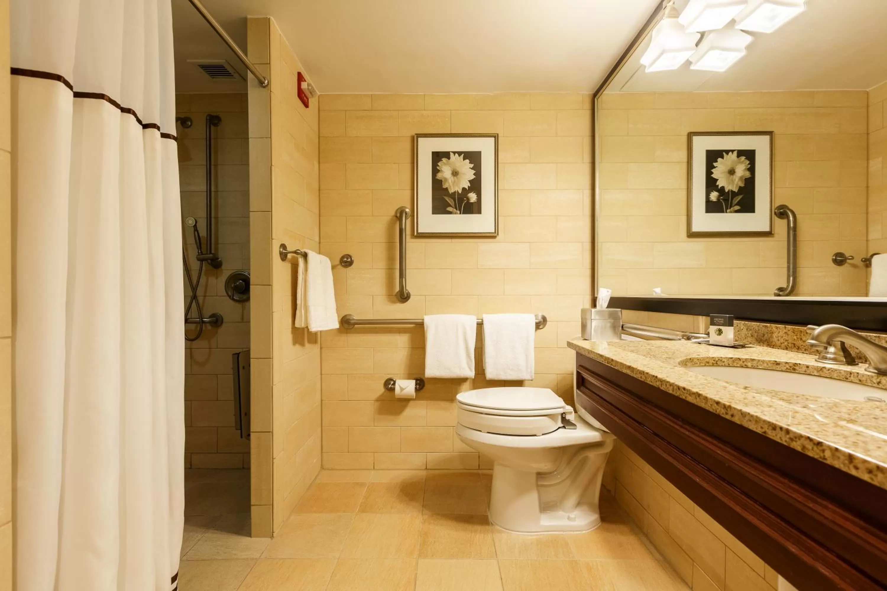 King Room with Roll-In Shower - Disability Access in Sleepy Hollow Hotel