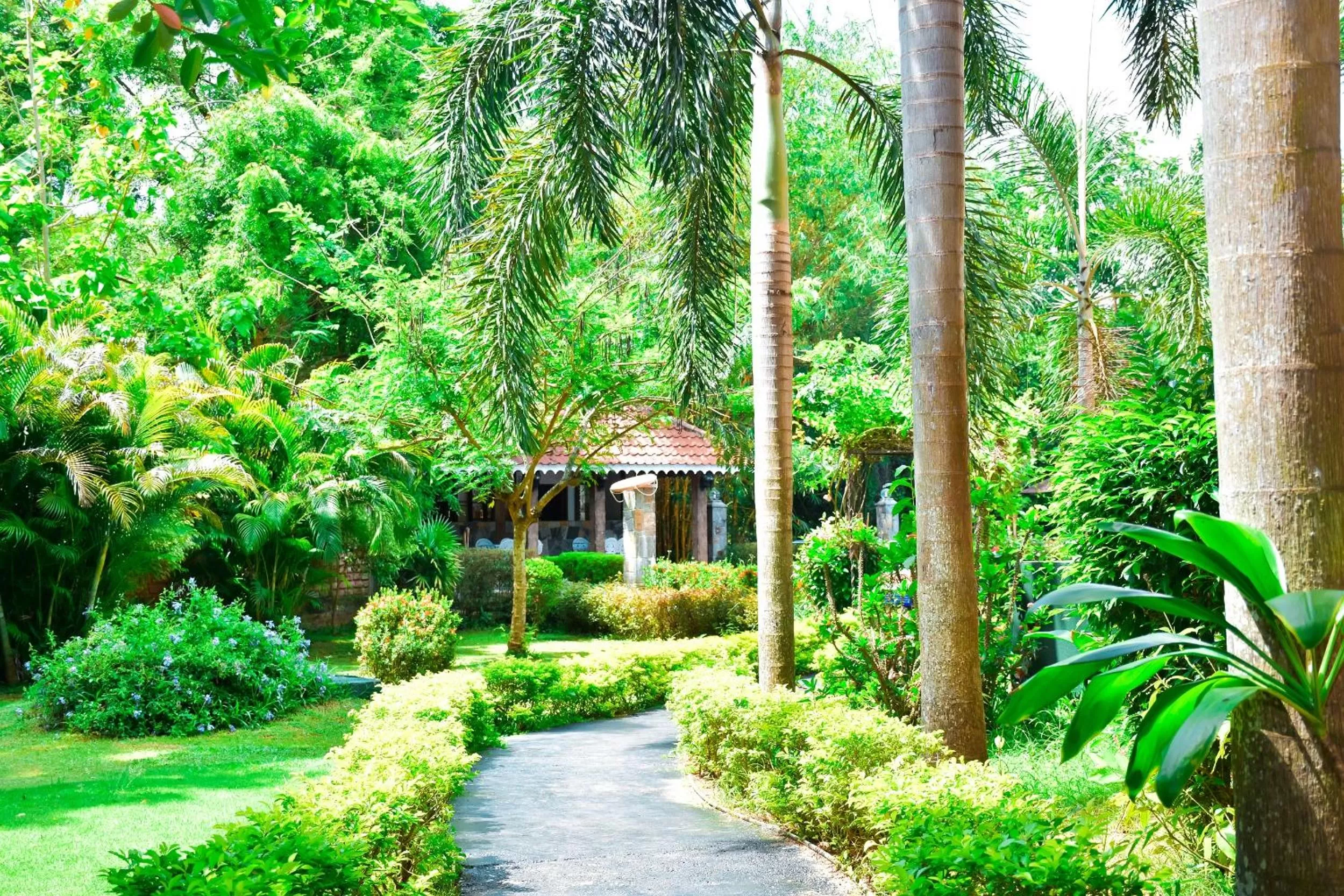 Garden in Heritage Hotel