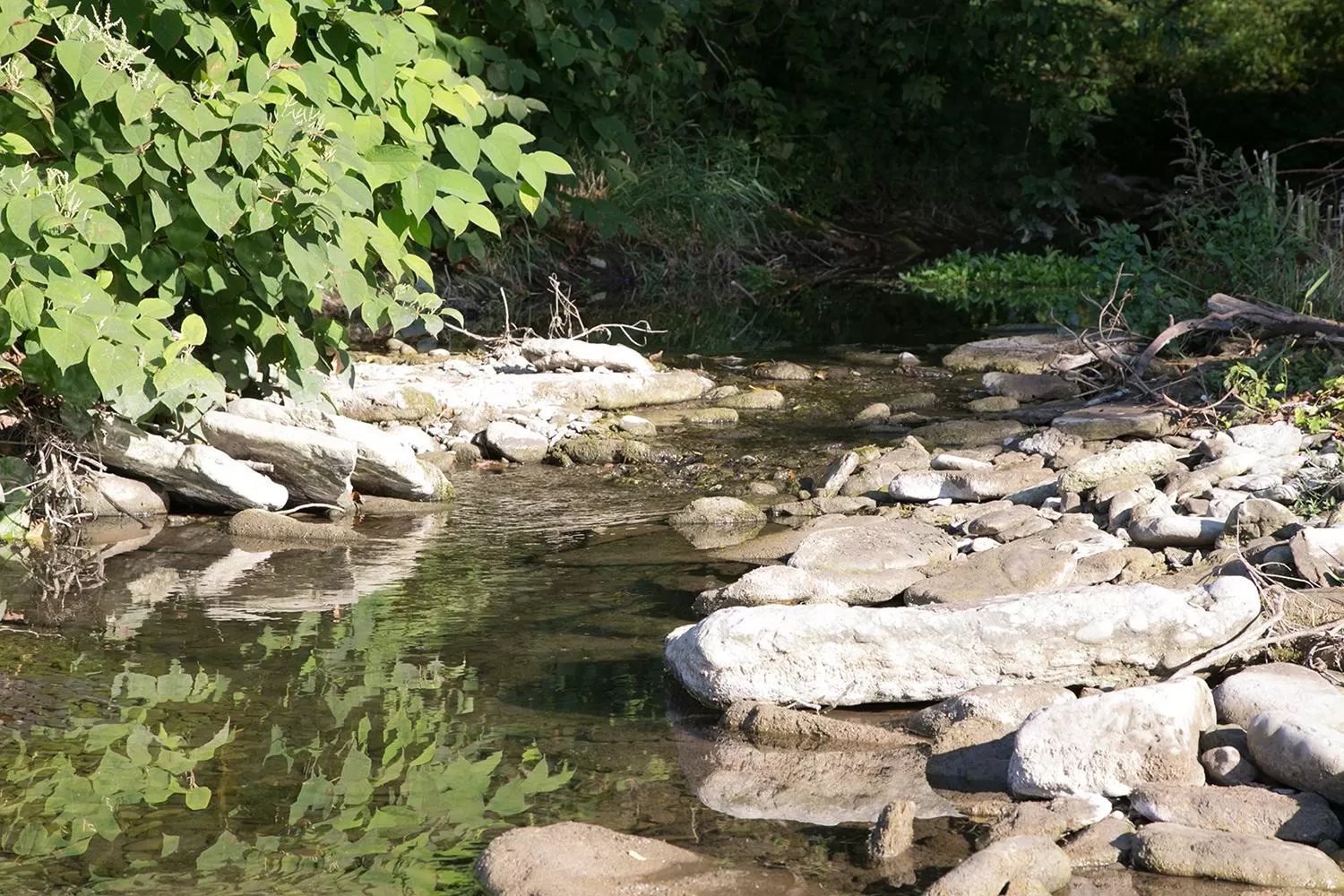 View (from property/room) in Drake Devonshire and Motor Inn
