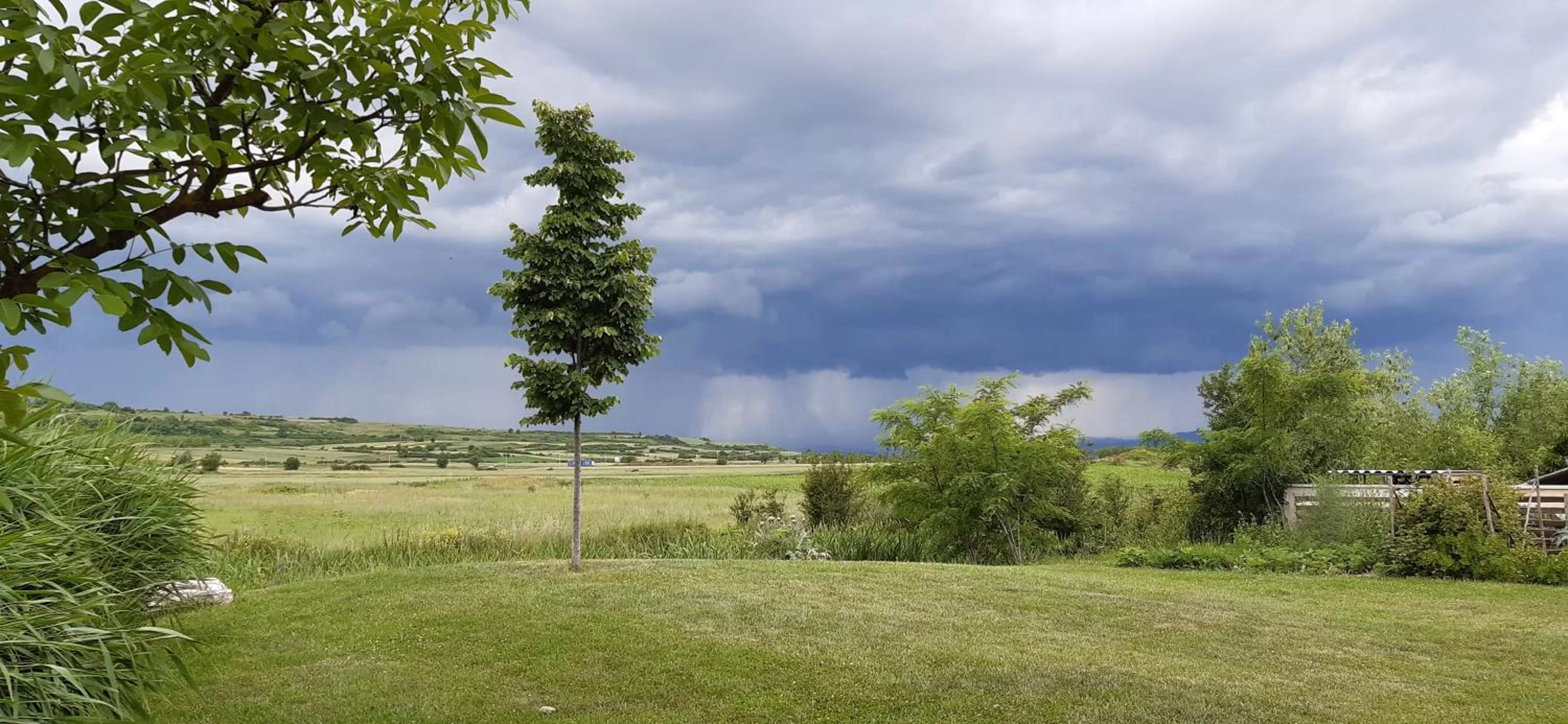 Garden in Hotel Gracanica