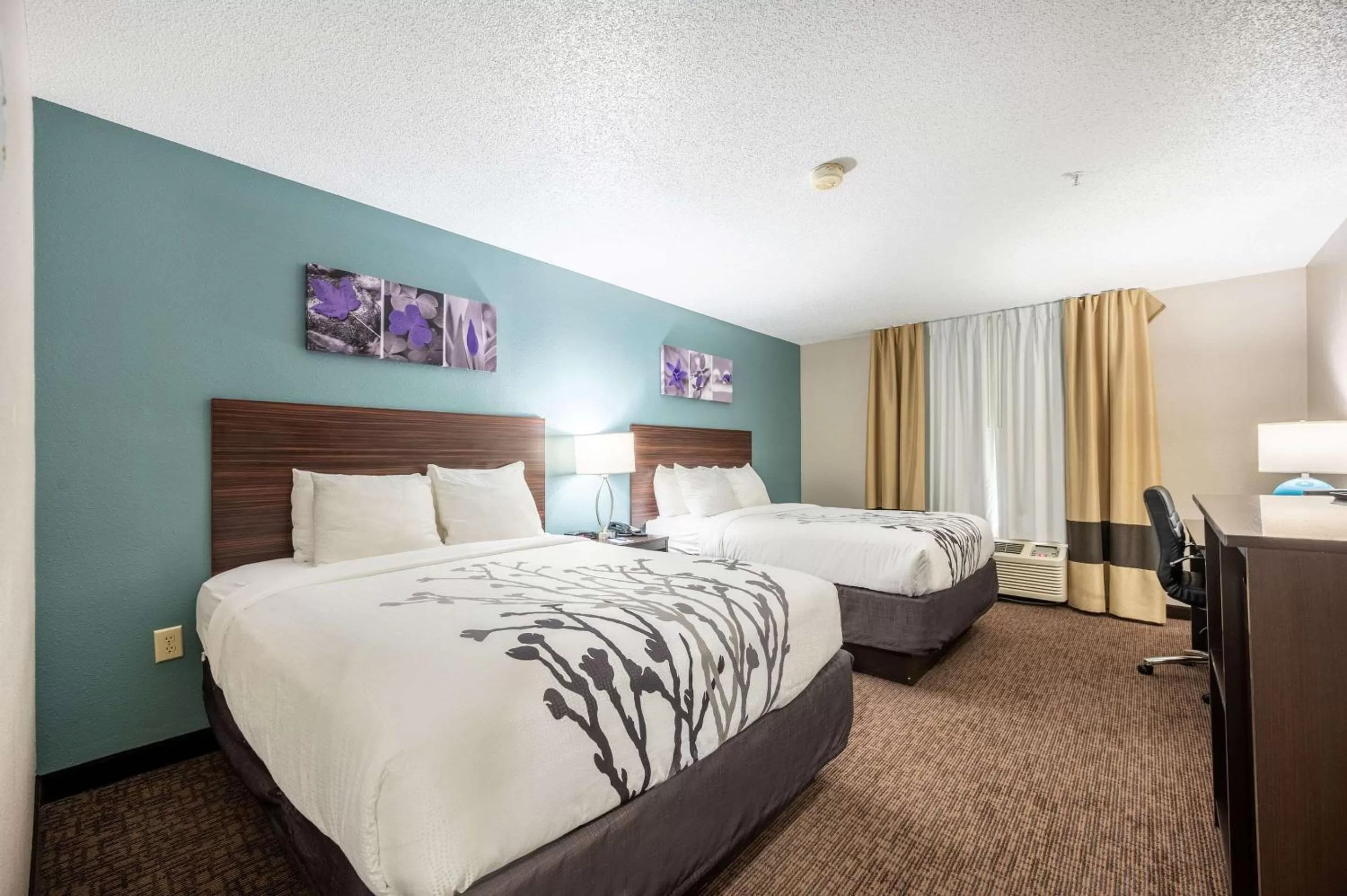 Photo of the whole room in Sleep Inn & Suites