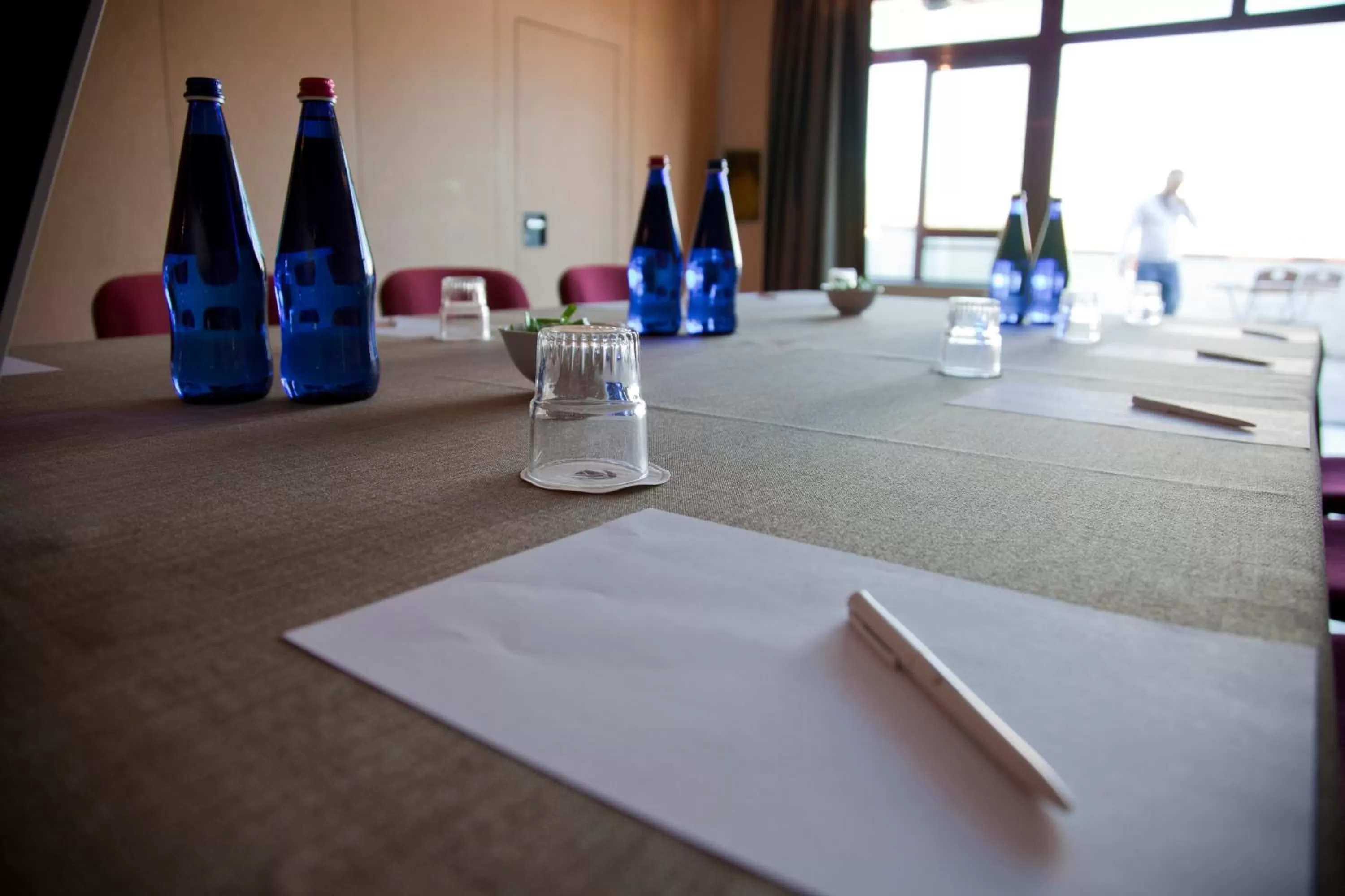 Business facilities in Tulip Inn Turin South