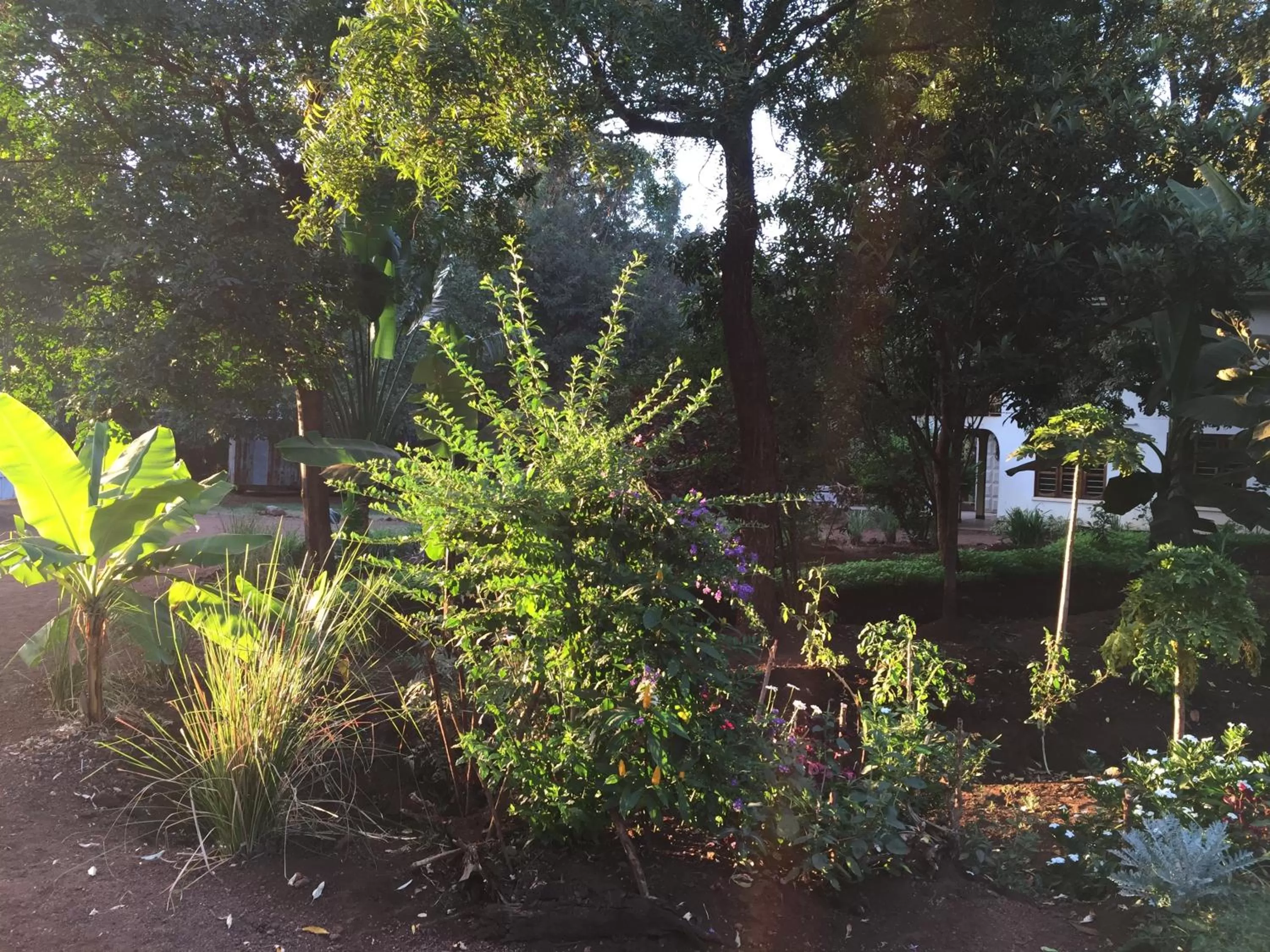 Property building in More Than A Drop