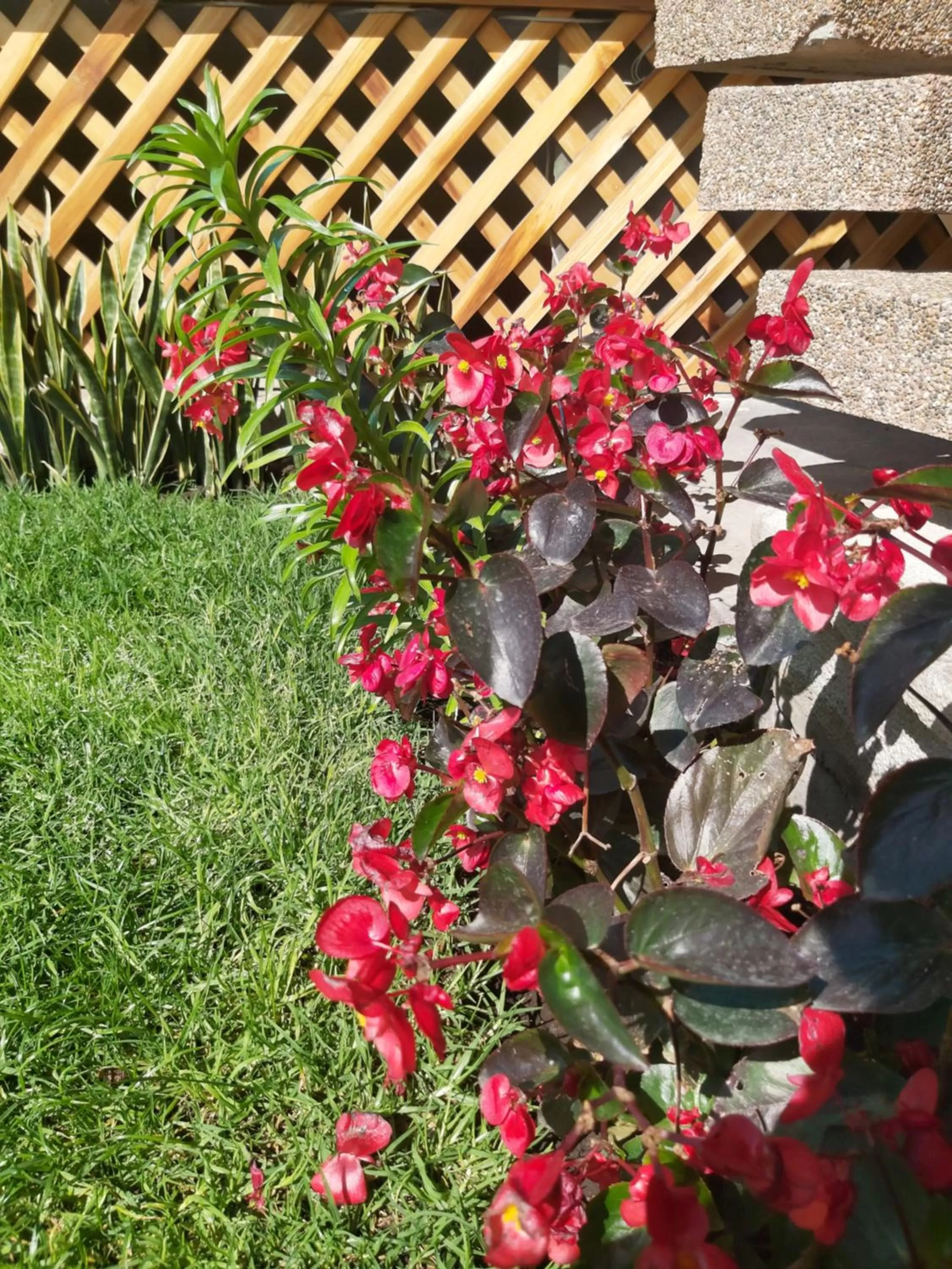 Mirador de Bellavista Riobamba