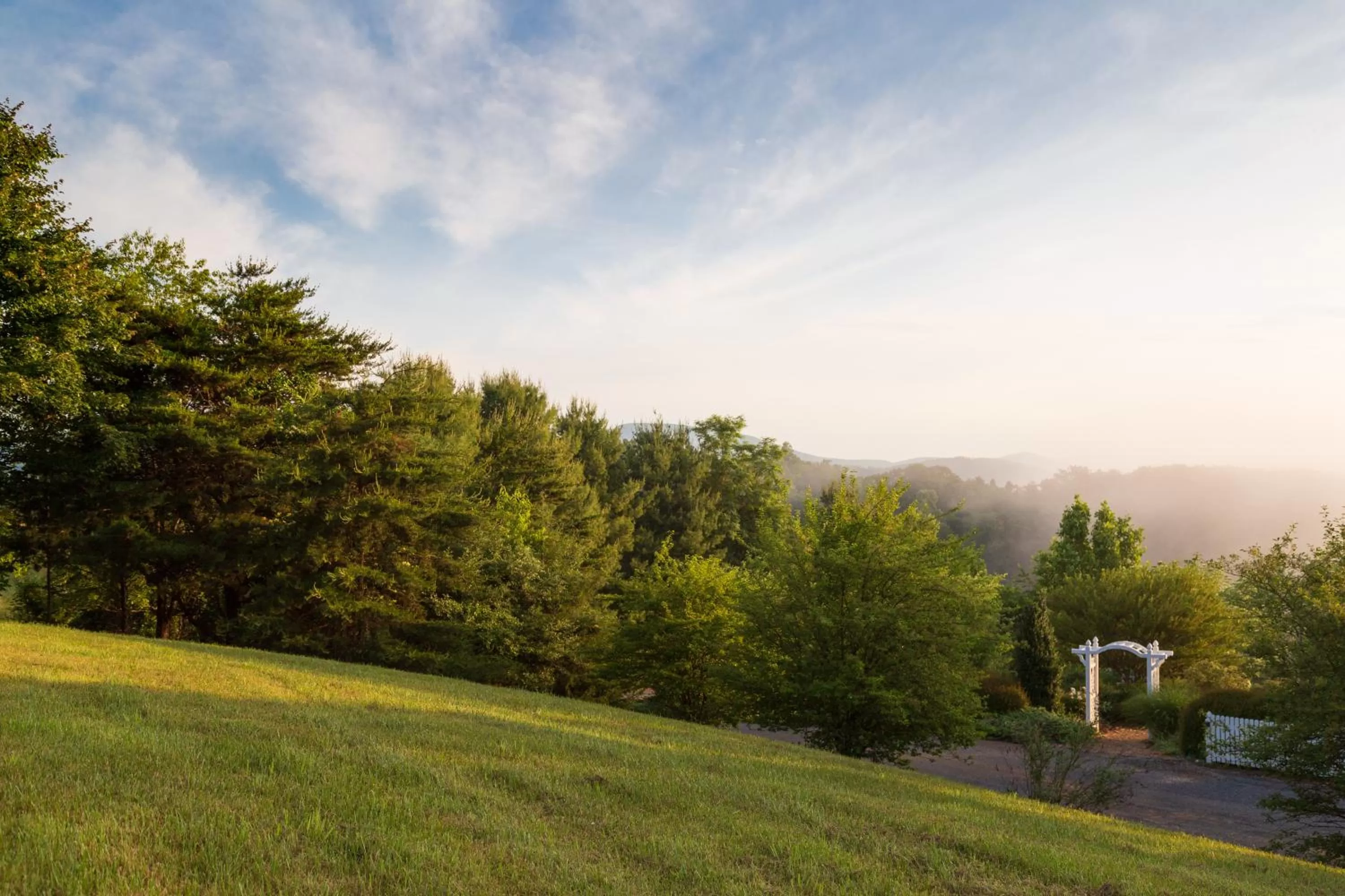 Garden in Brierley Hill Bed & Breakfast