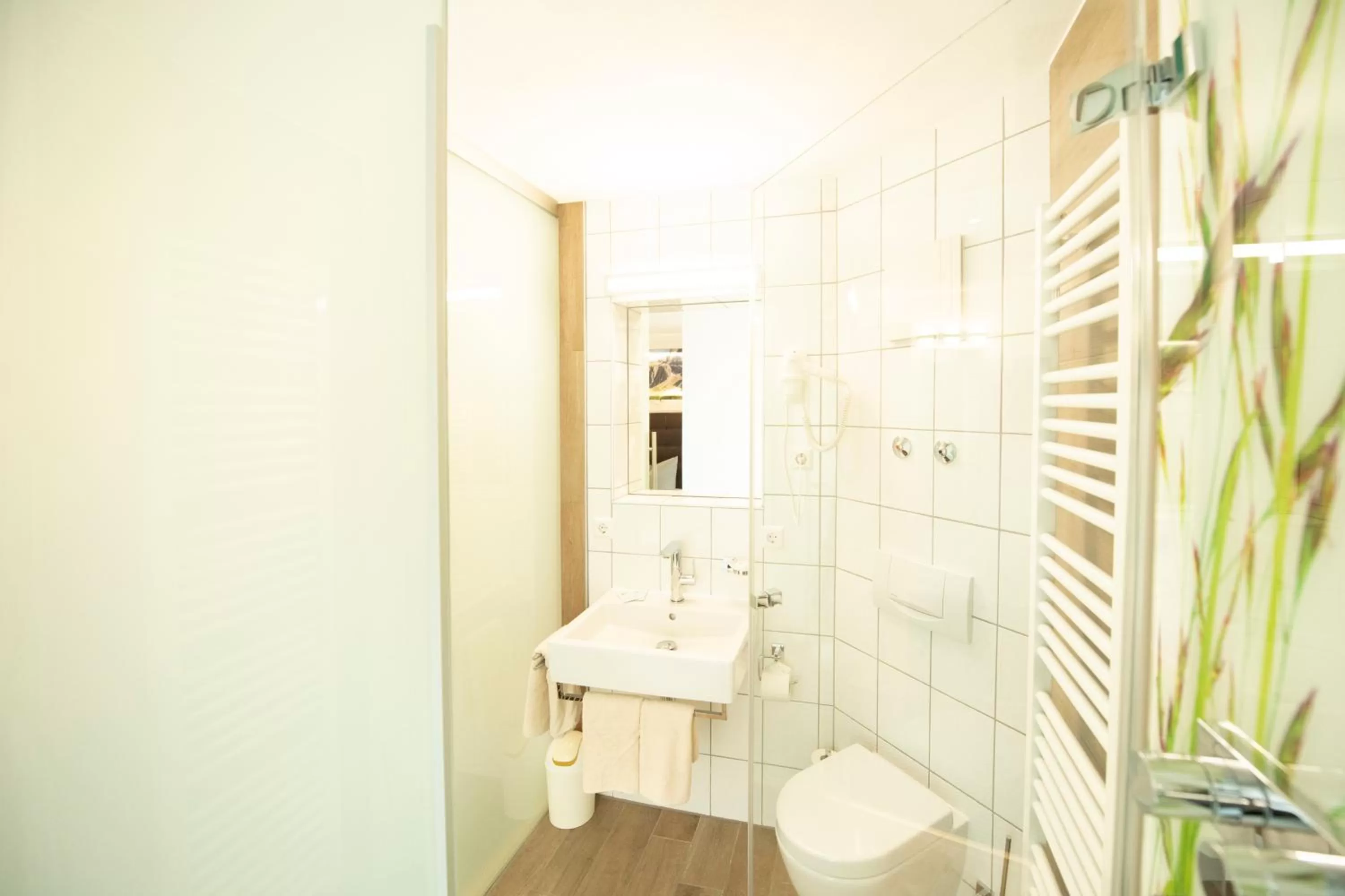 Bathroom in Stadthotel Giengen