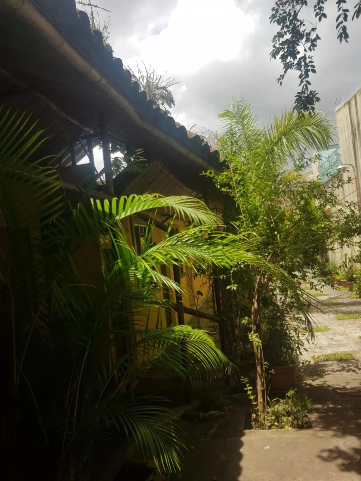 Garden in El Patio de Don Moncho