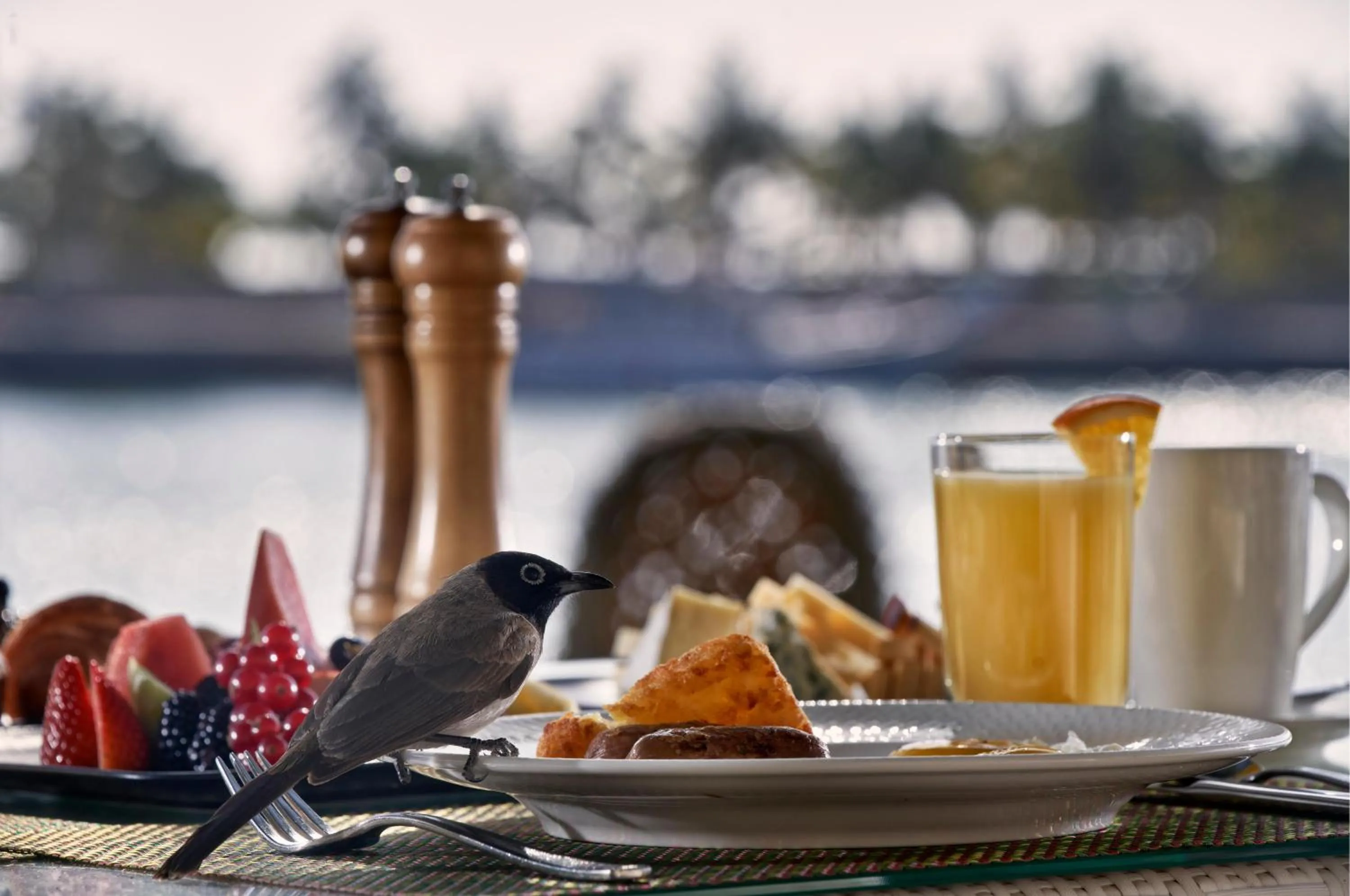 Restaurant/places to eat in Fanar Hotel & Residences