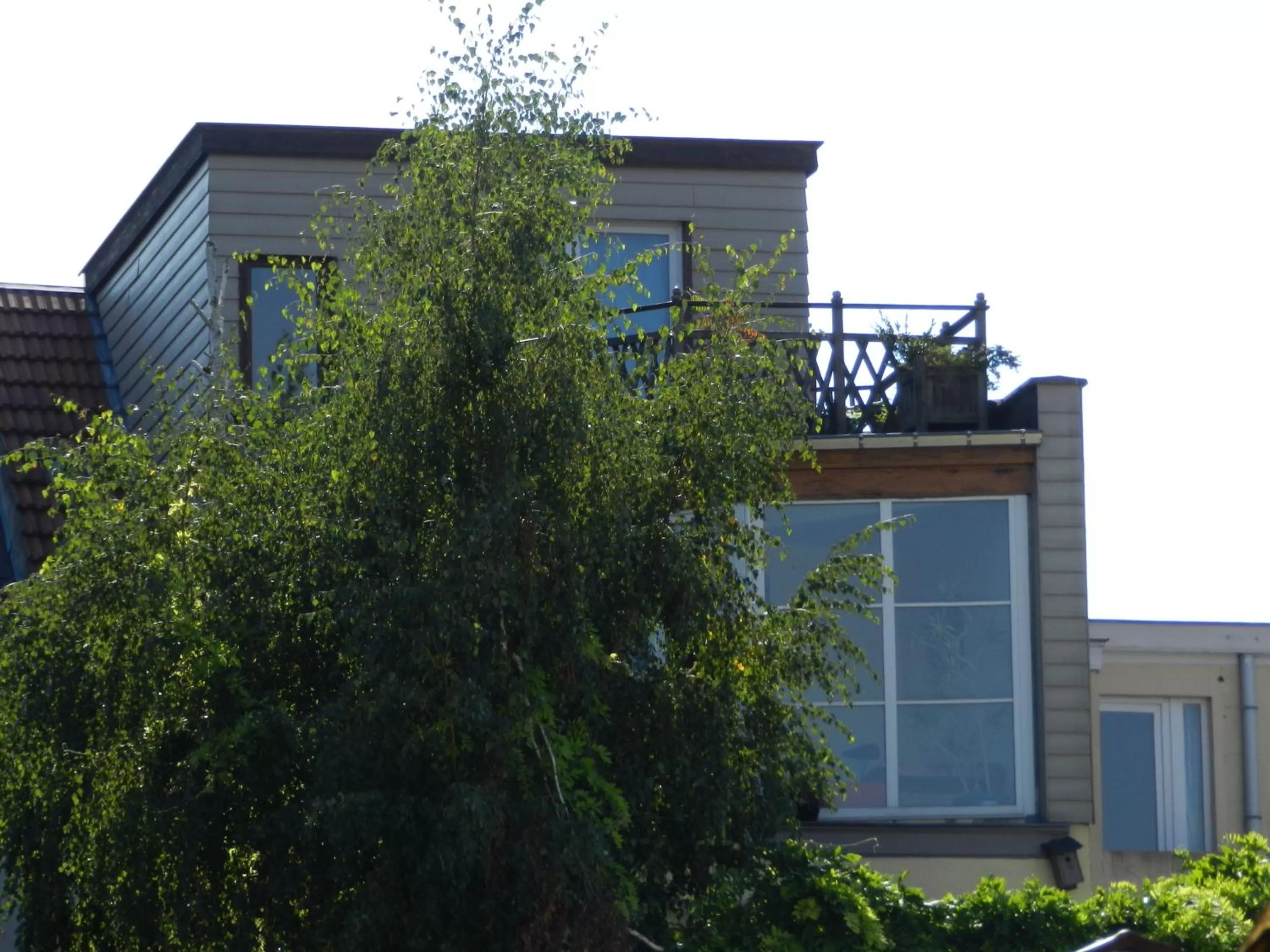 Property building in B&B Basilique