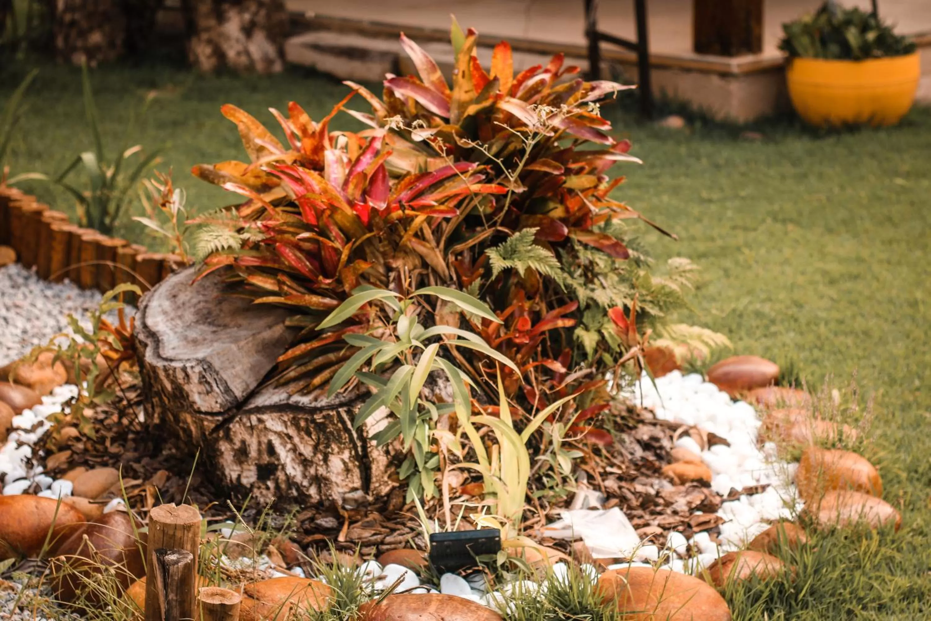 Garden in Pousada e Chale Porto Paraiso