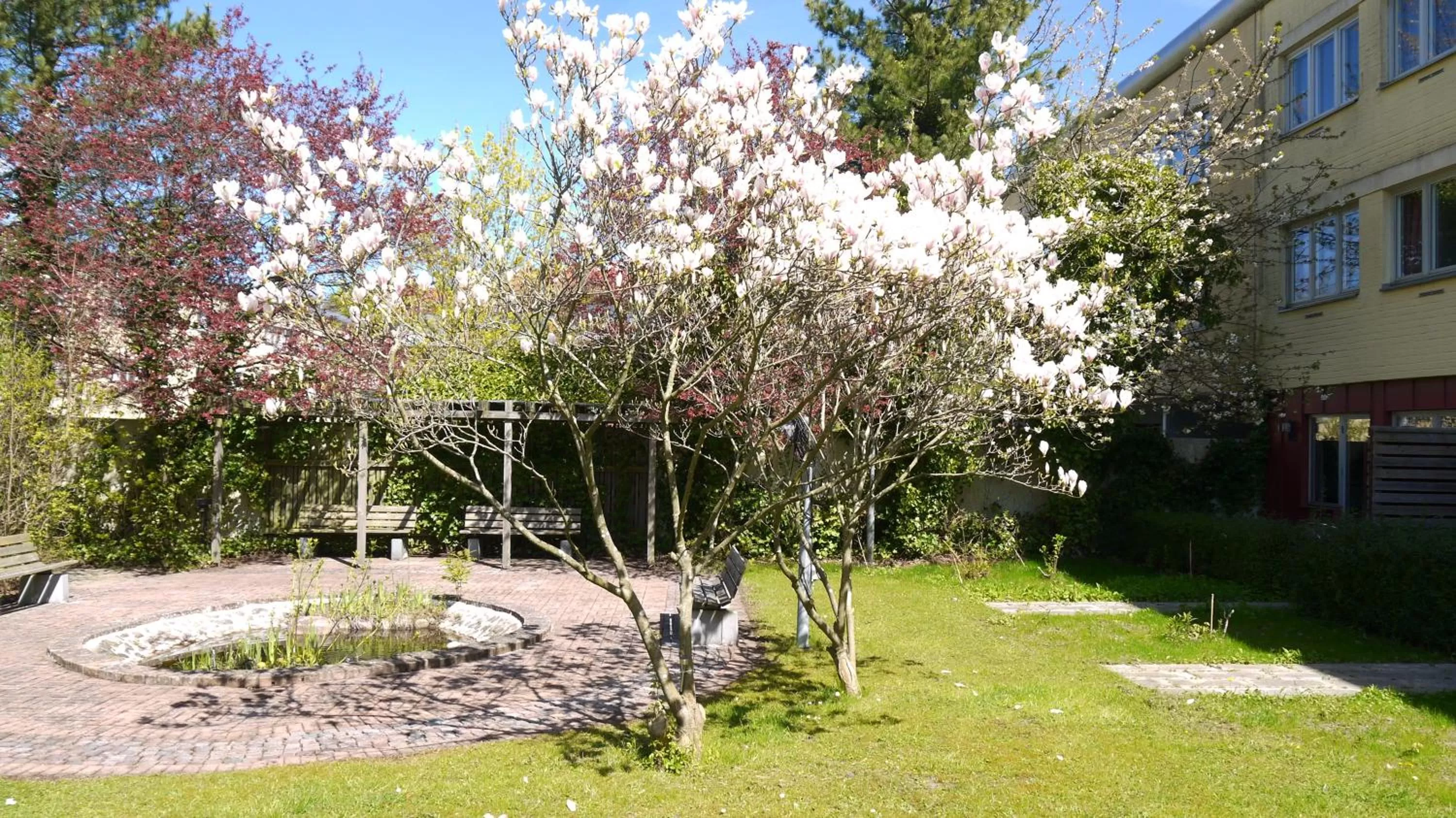 Spring in Place Lund