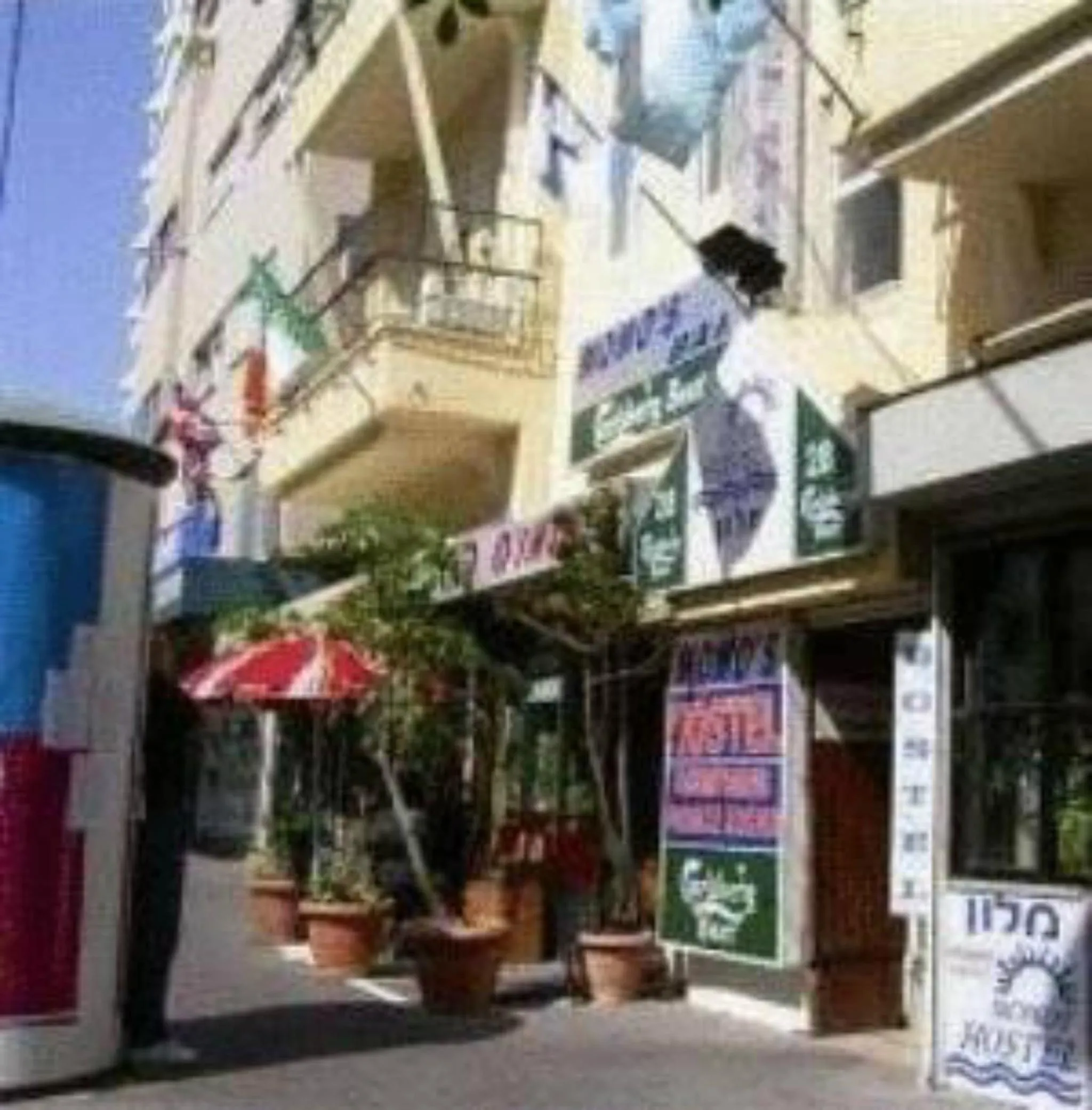 Property Building in Momo's Hostel