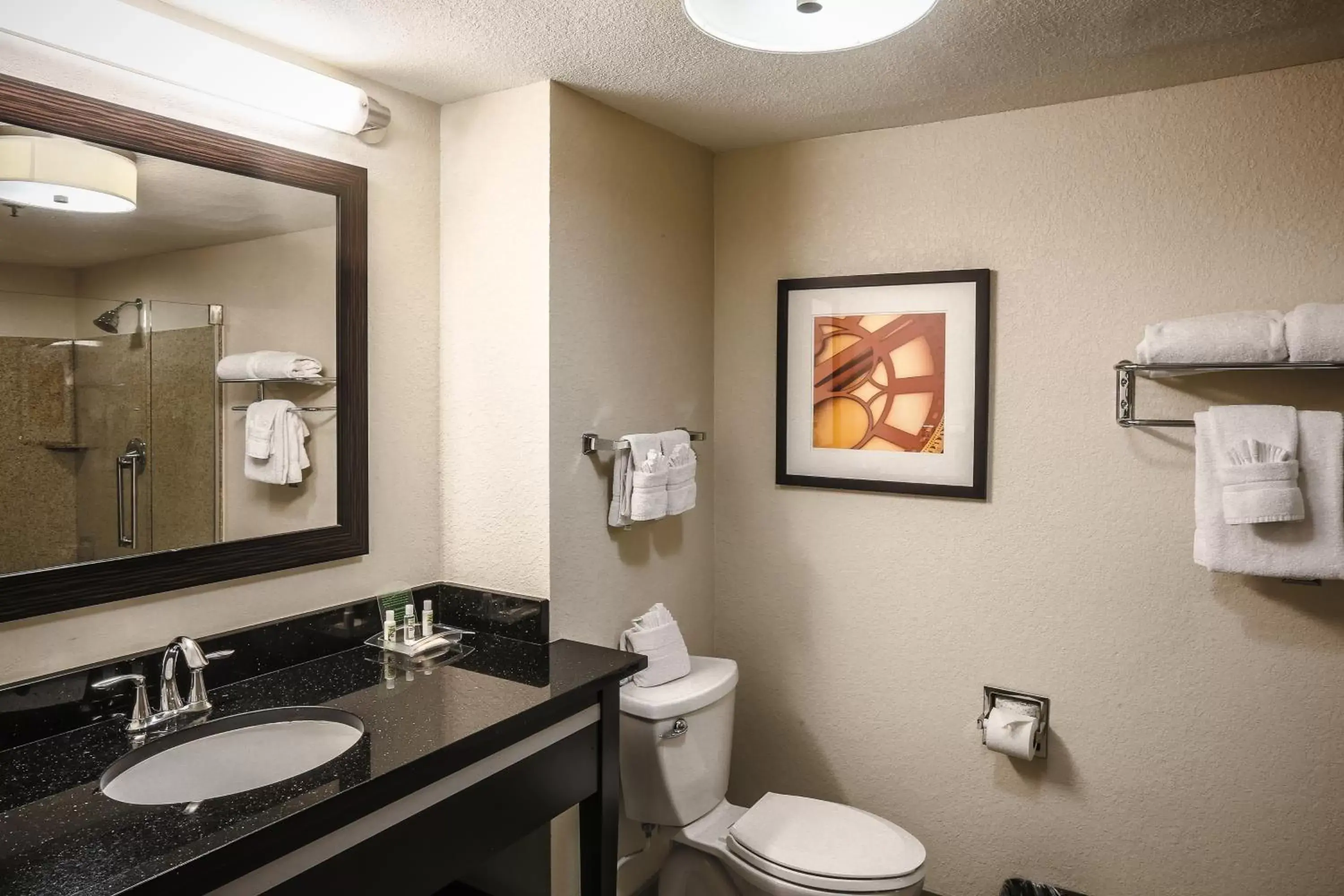 King Room - Hearing Accessible - Roll-in Shower in Holiday Inn Austin Midtown, an IHG Hotel King Room - Hearing Accessible - Roll-in Shower in Holiday Inn Austin Midtown, an IHG Hotel