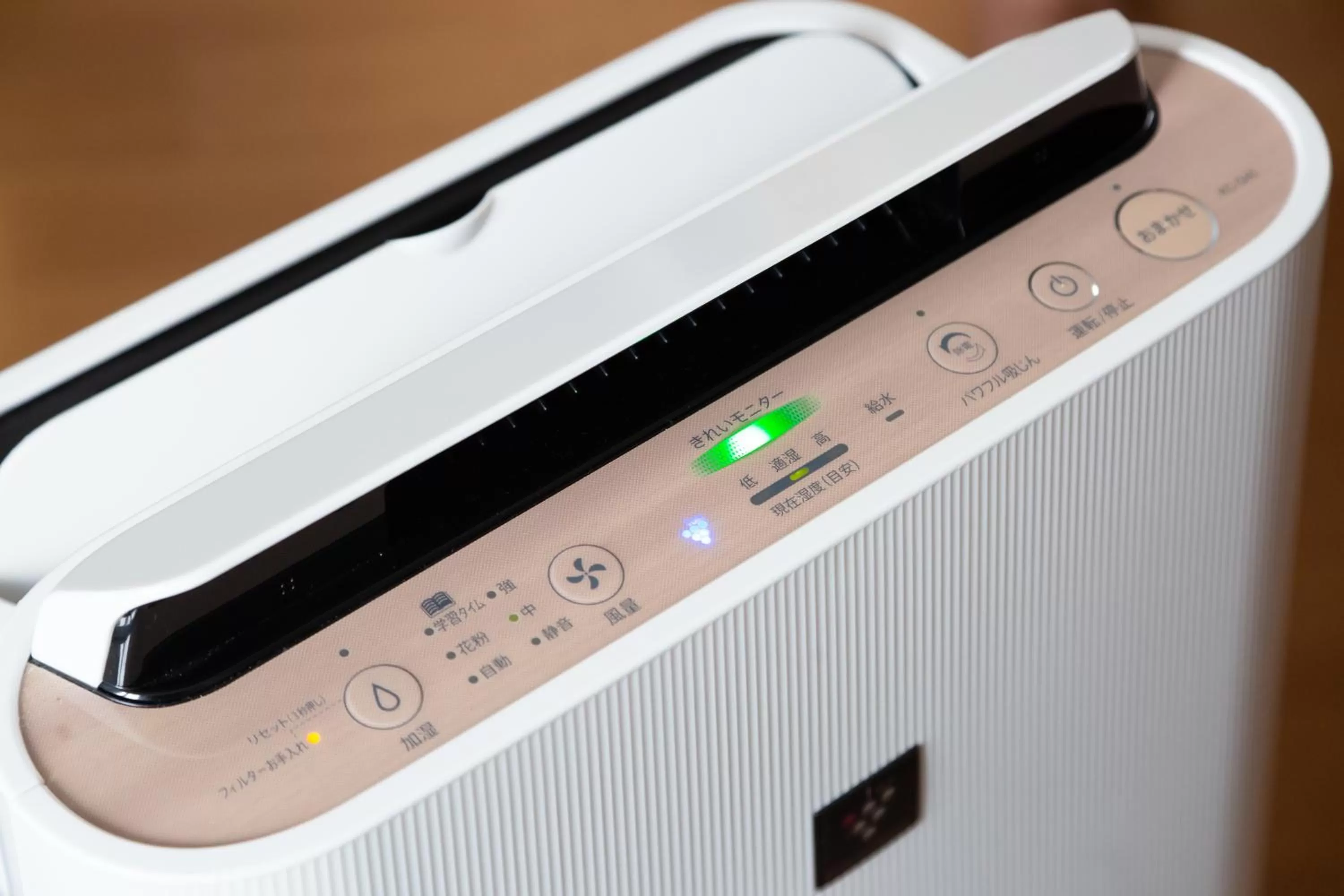 Decorative detail in fico HIJI