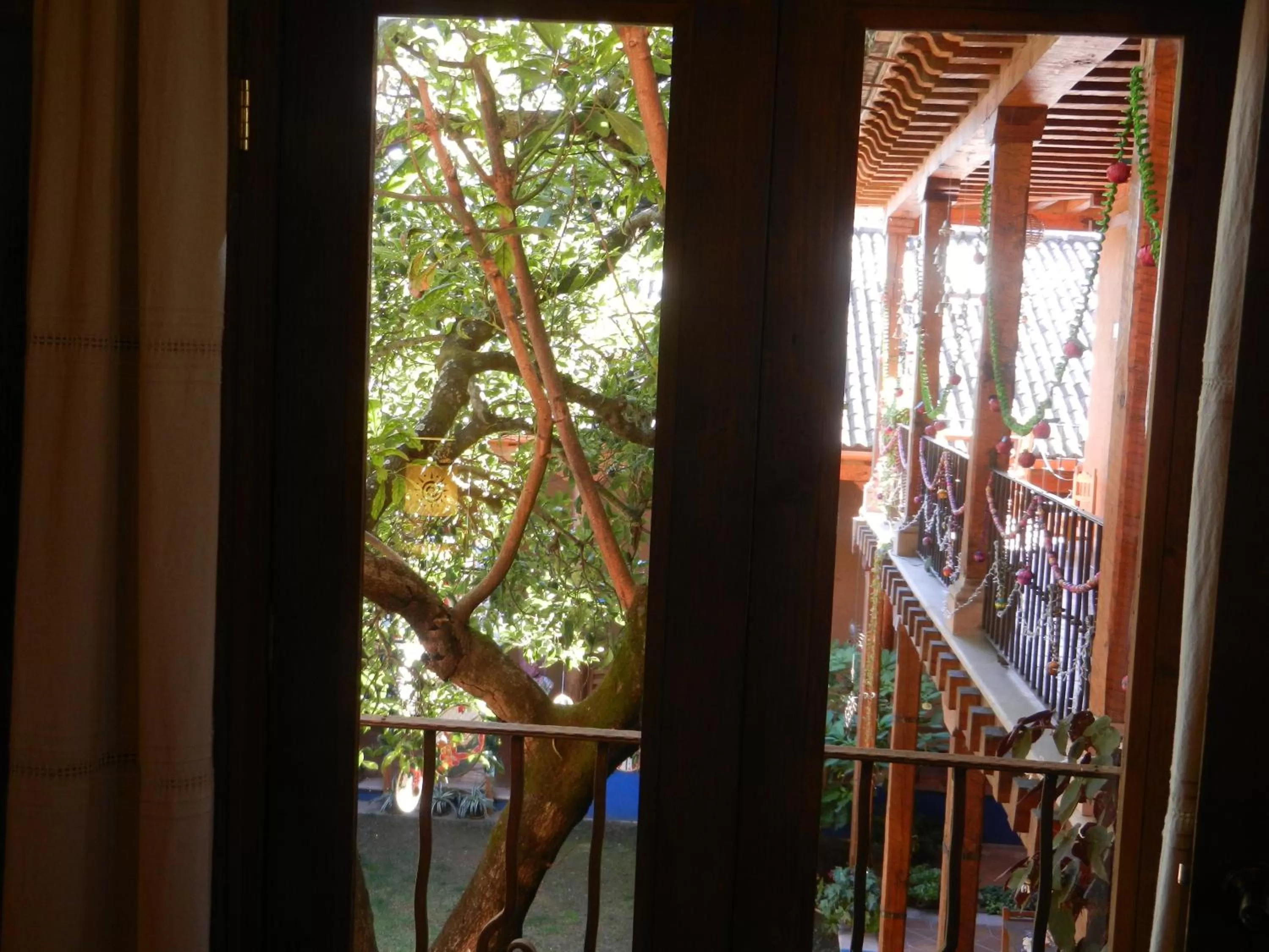 Garden view in Posada Yolihuani