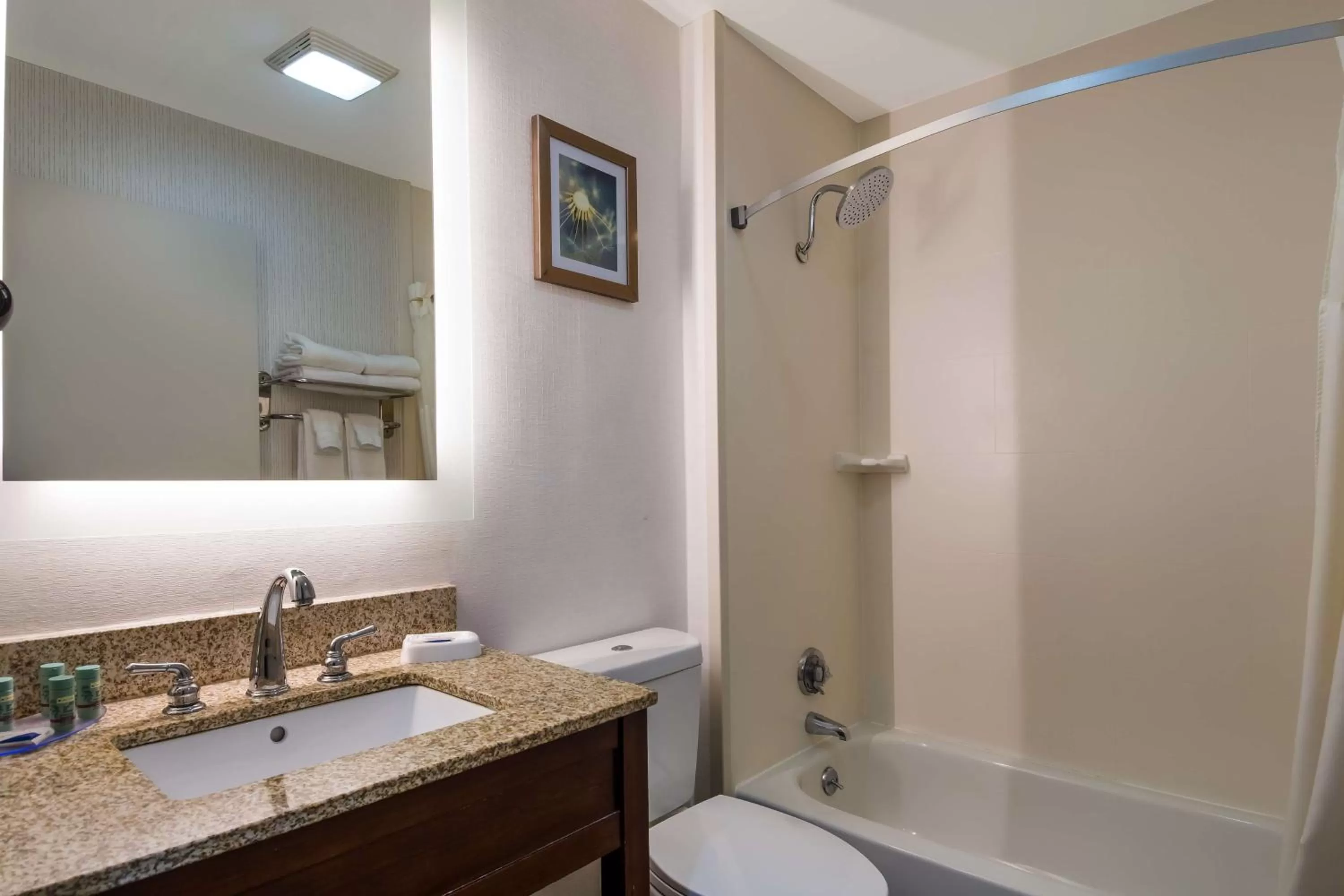 Bathroom in Milford Inn