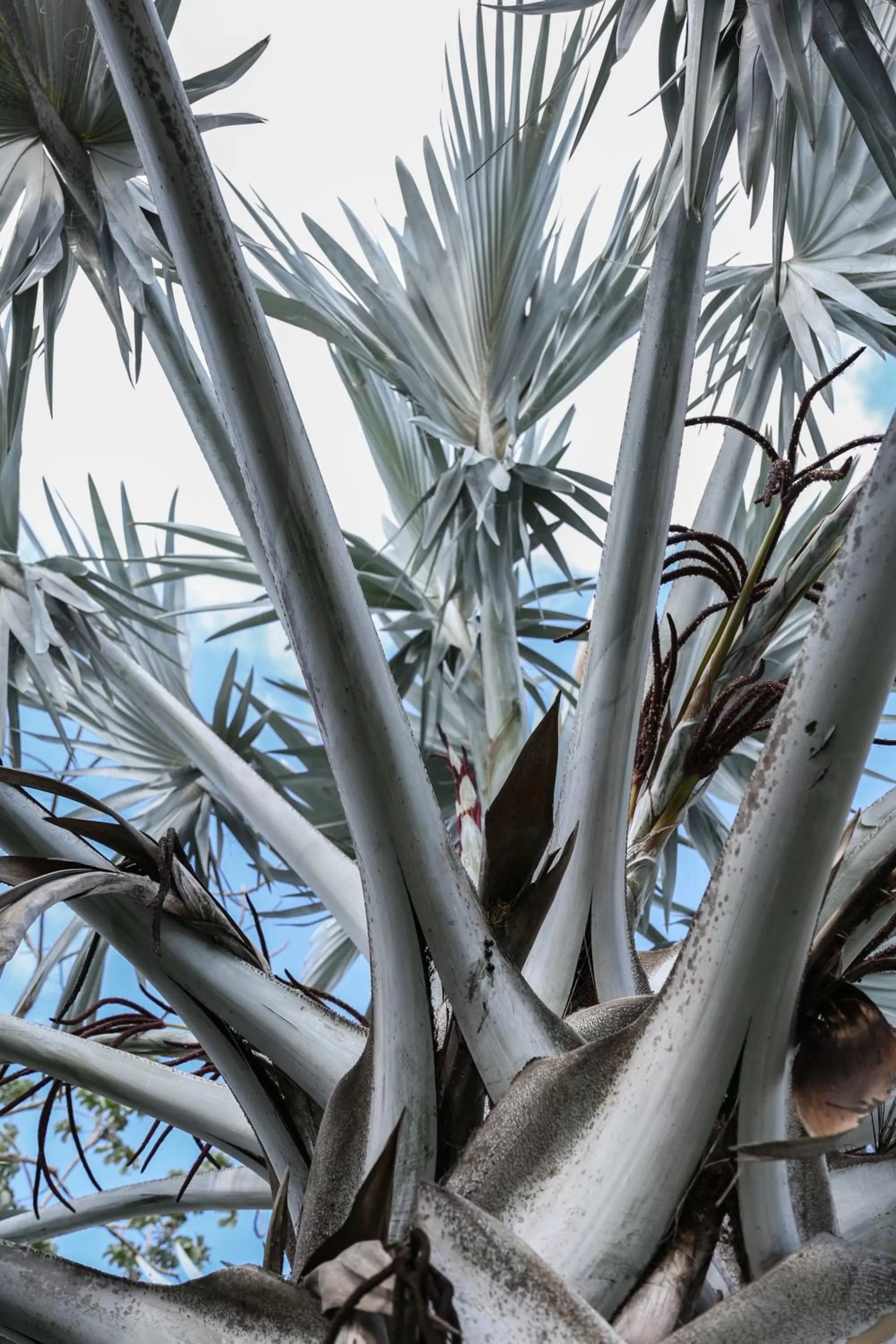 Natural landscape in Villas H2O