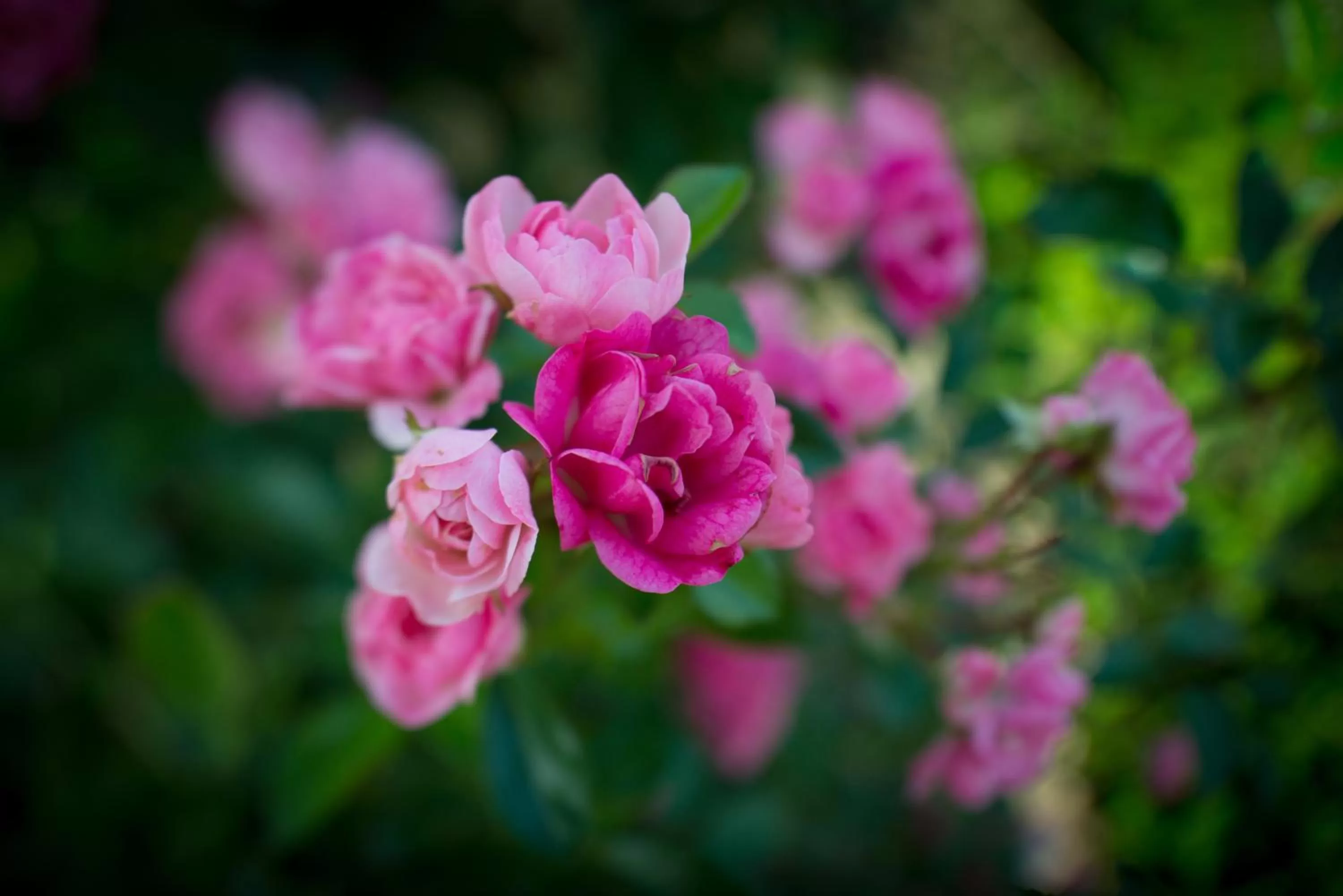 Spring in Hôtel du Domaine de La Groirie - Le Mans