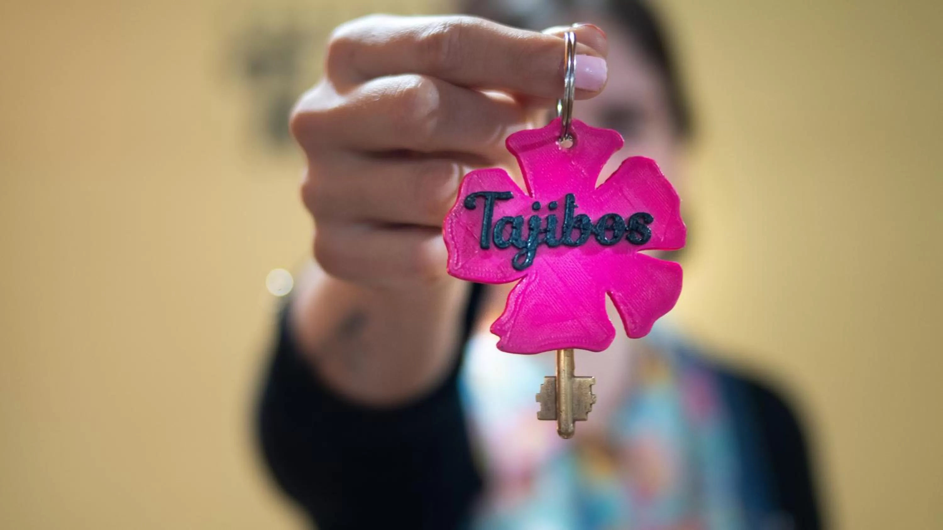 Decorative detail in Posada Los Tajibos