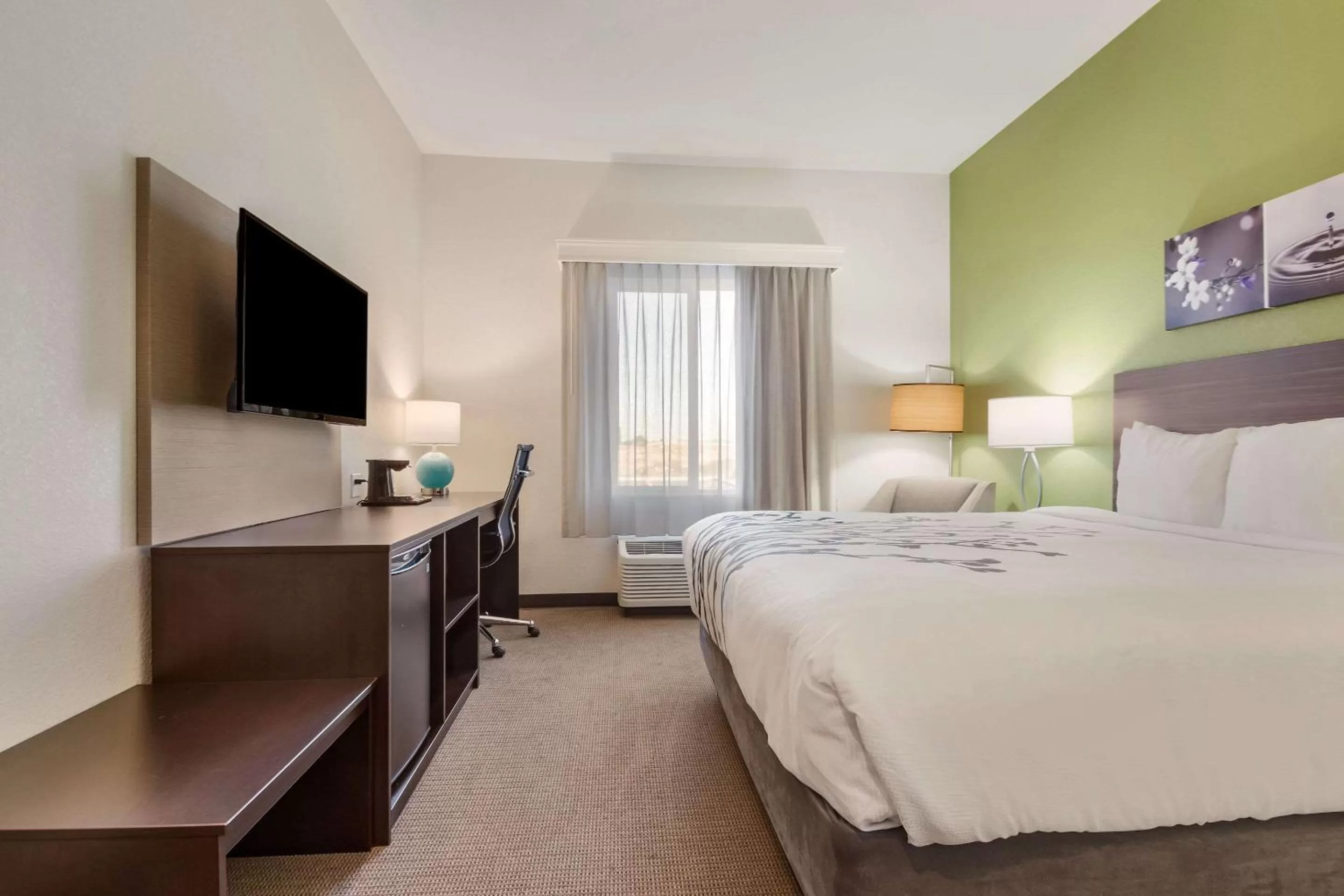 Photo of the whole room, Bed in Sleep Inn Boardman