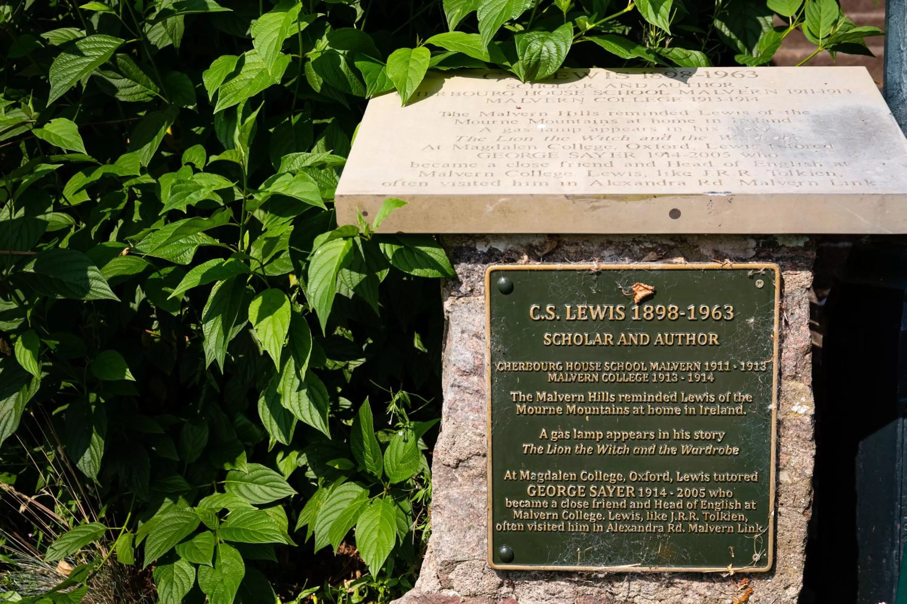 Natural landscape in Mount Pleasant Hotel