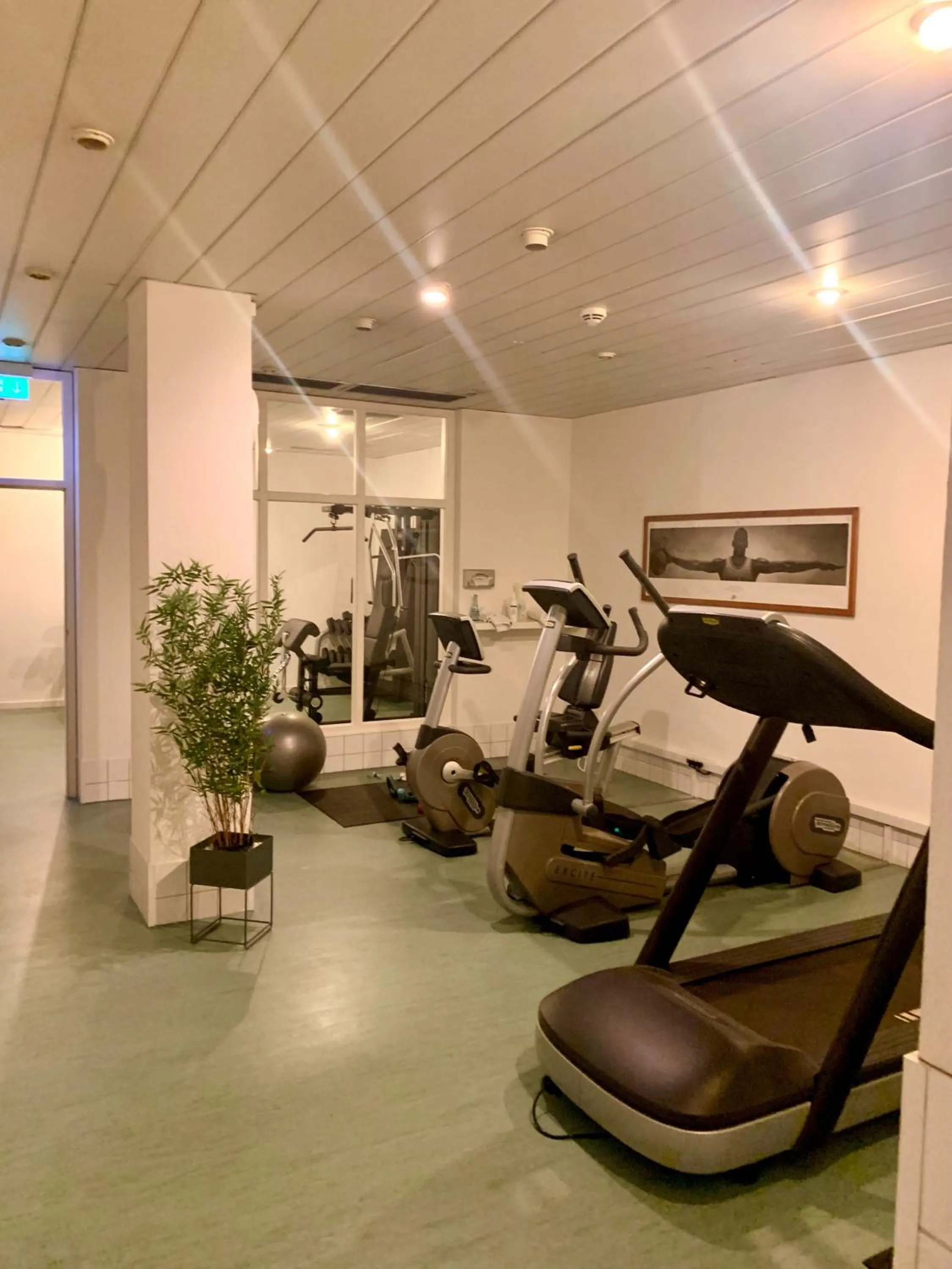 Fitness centre/facilities in Hotel Ambiente Walldorf