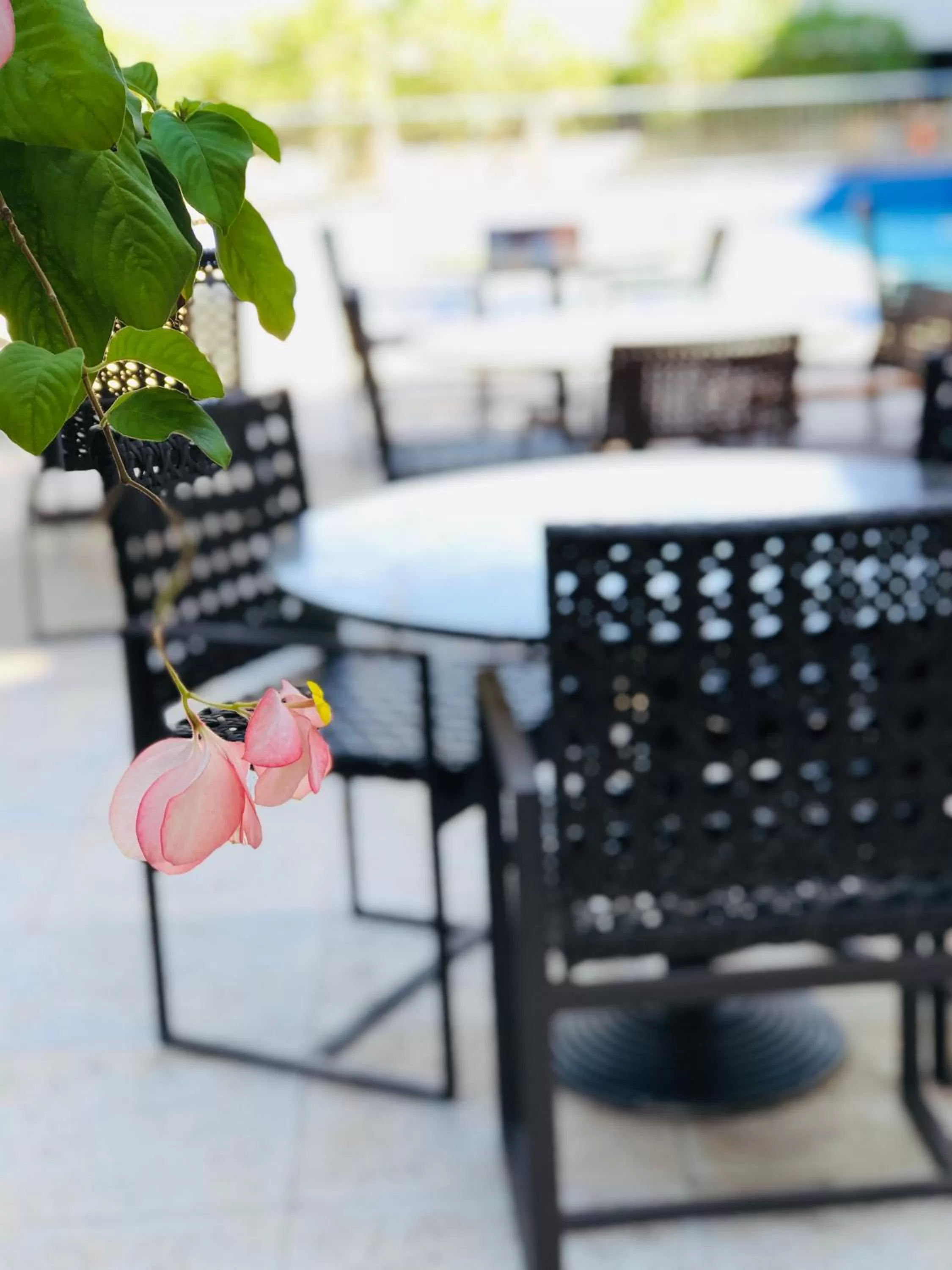 Pool view in Viale Cataratas Hotel & Eventos